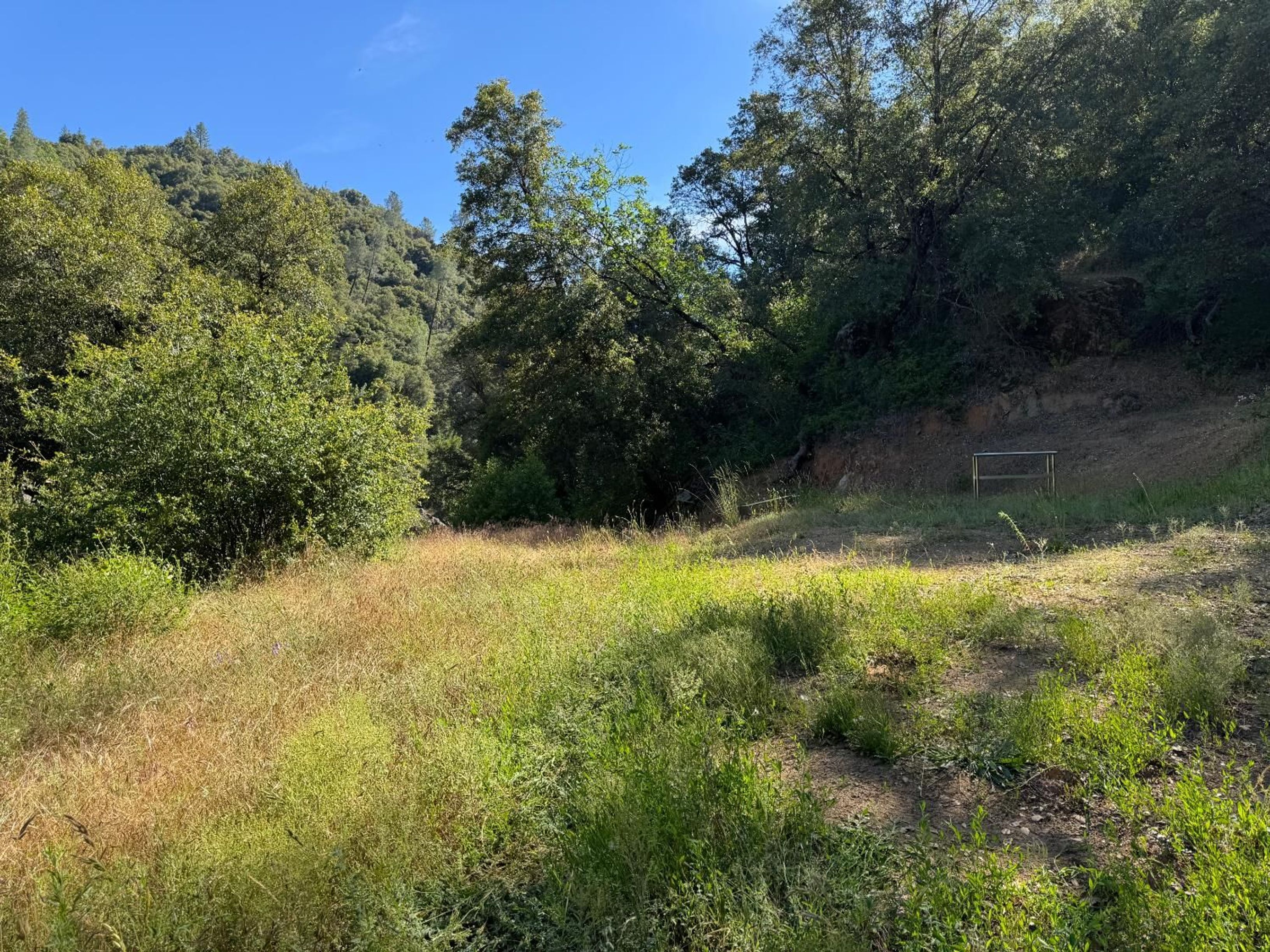  0 Old Country Road, West Point, CA 95255 - 物件實景