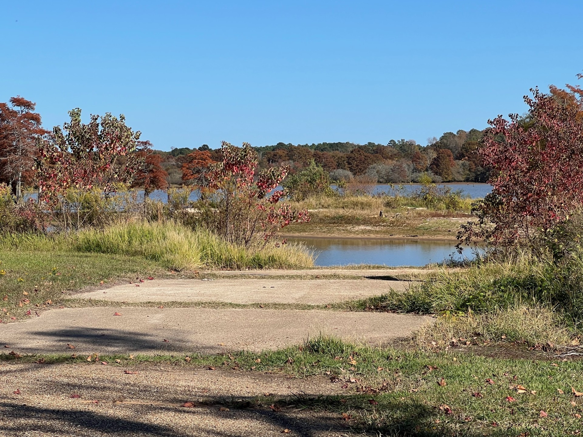 Converse, Louisiana, 71419, United States, ,Residential,For Sale,1995387