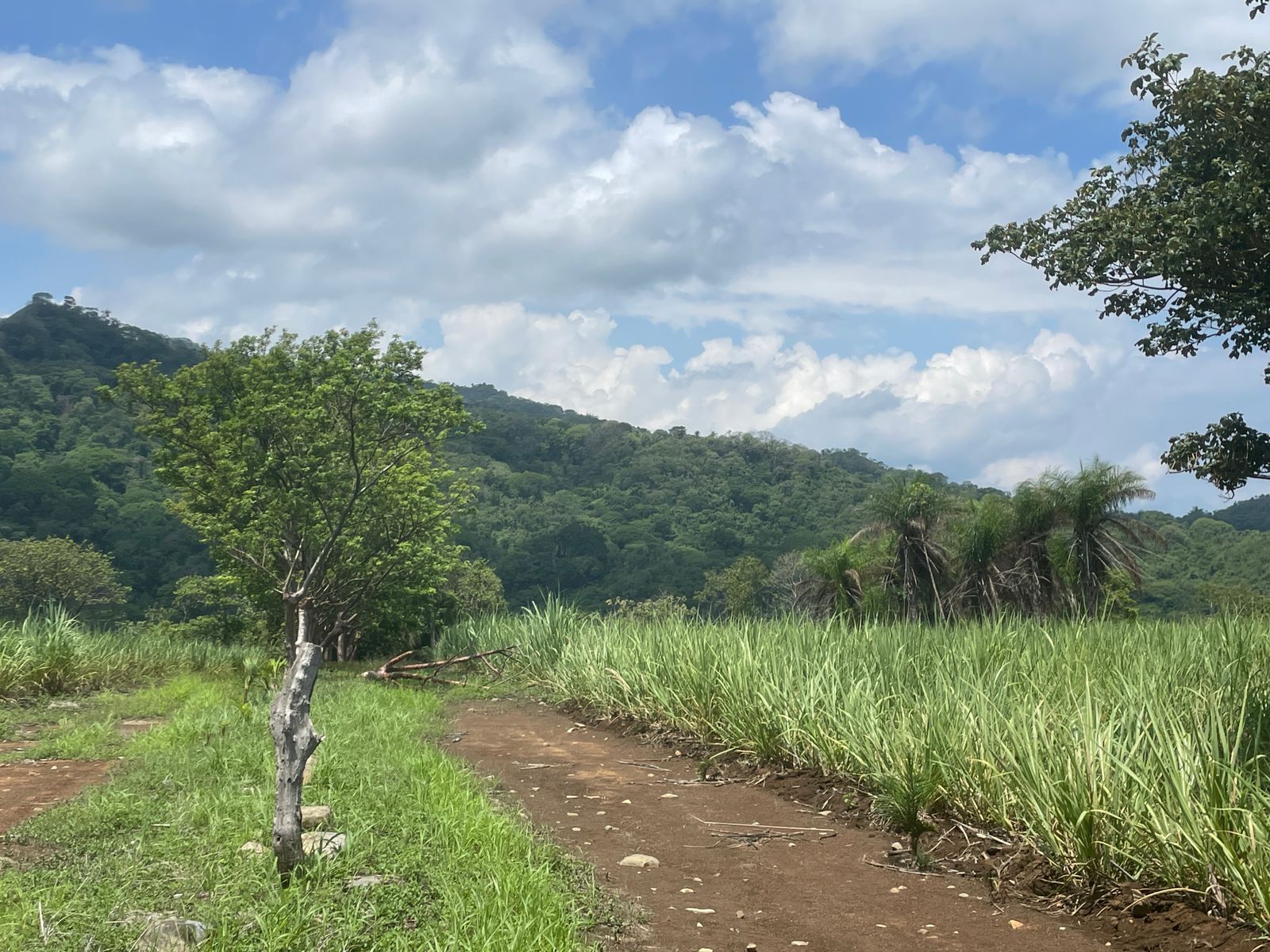 Escobal, Atenas, Atenas, Alajuela, CR, ,Land,For Sale,Escobal, Atenas,1627461