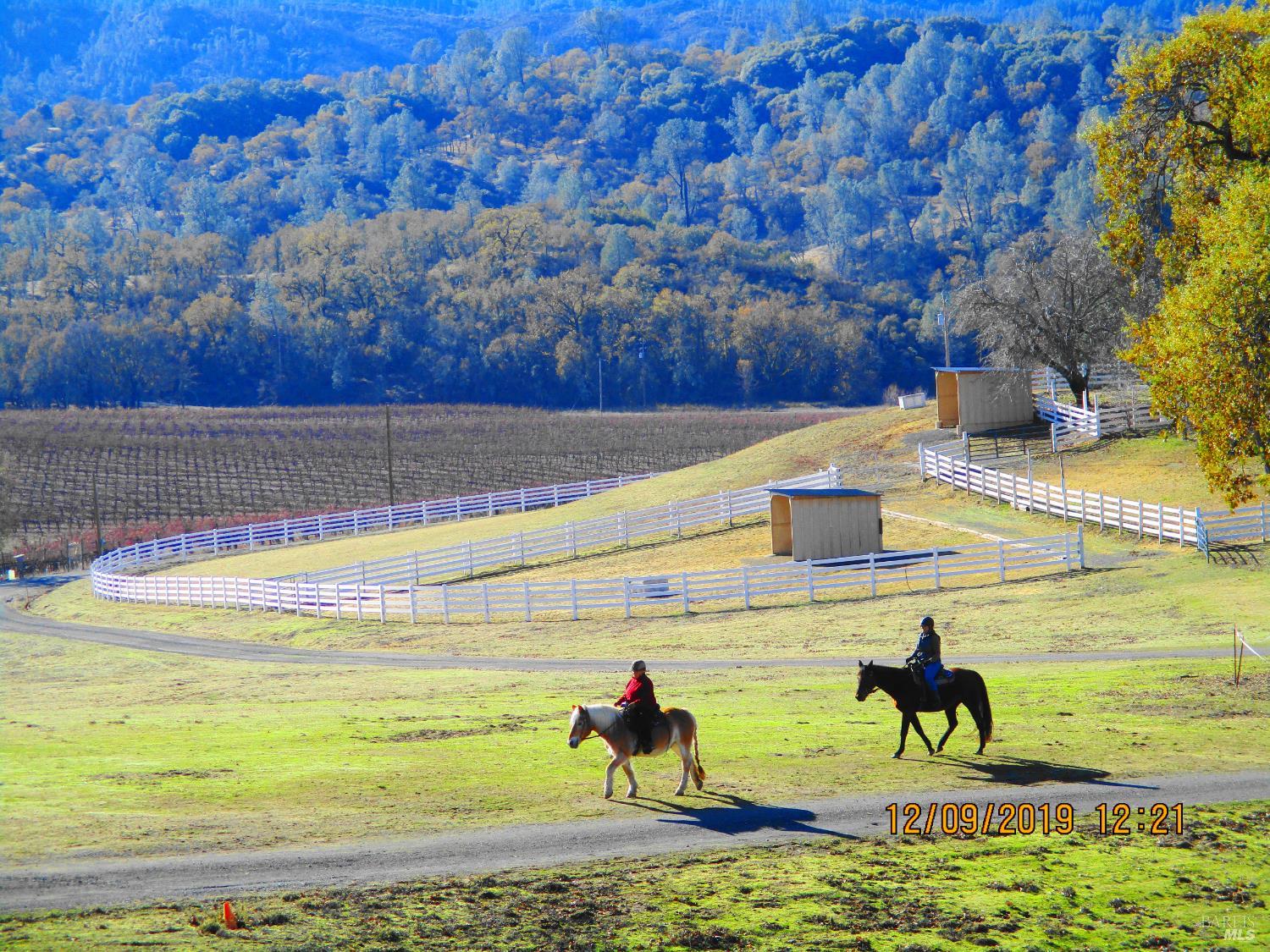 Kelseyville, California, 95451, United States, 3 Bedrooms Bedrooms, ,2 BathroomsBathrooms,Residential,For Sale,1974568