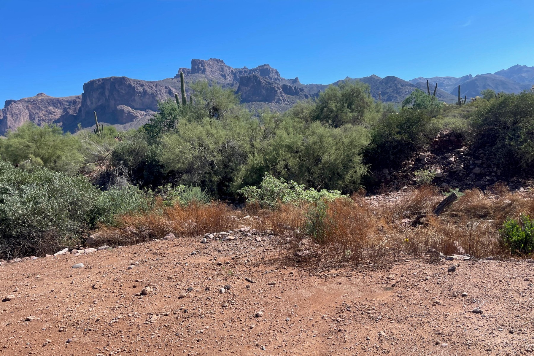  52 E Scenic (geronimo) Street¦Apache Junction, AZ - 物件實景