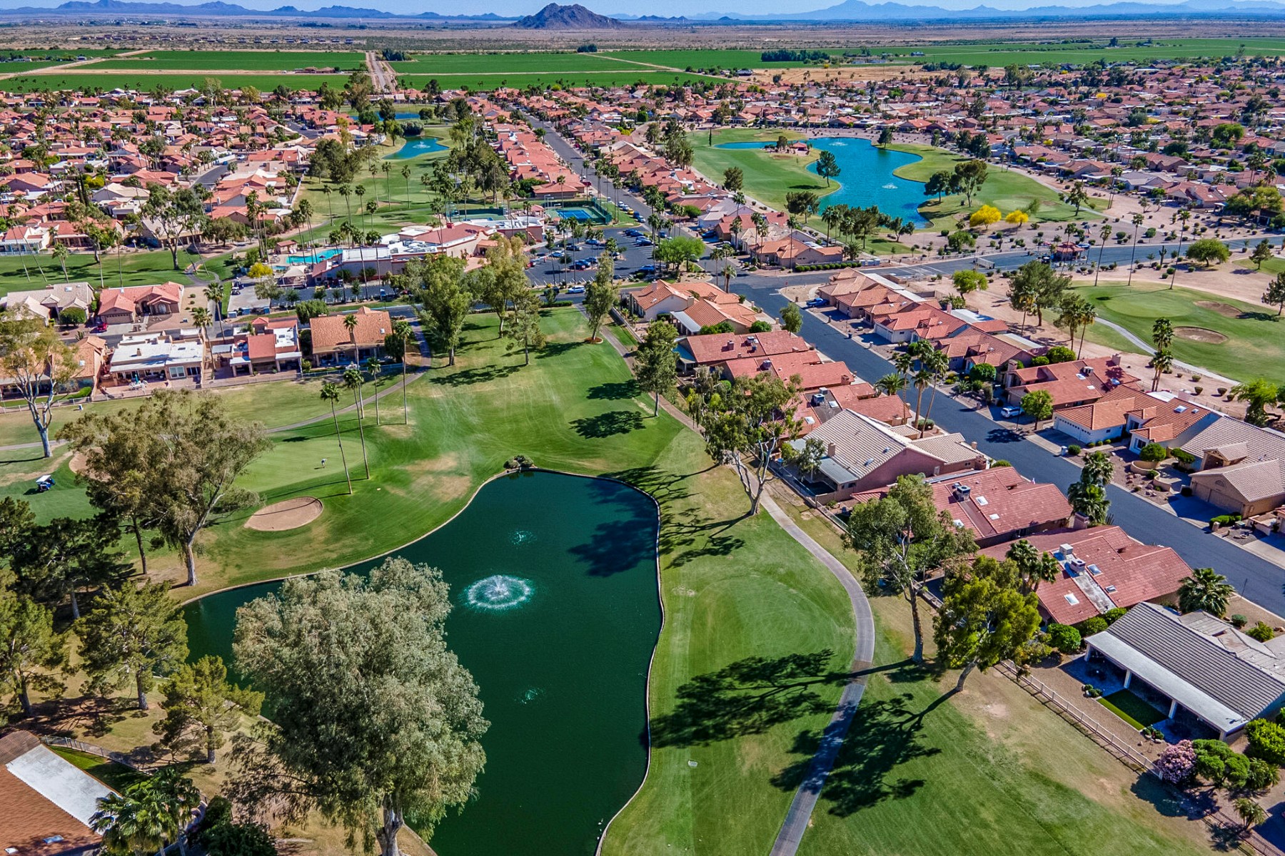  26202 S Flame Tree Drive  Sun Lakes, AZ - 物件實景