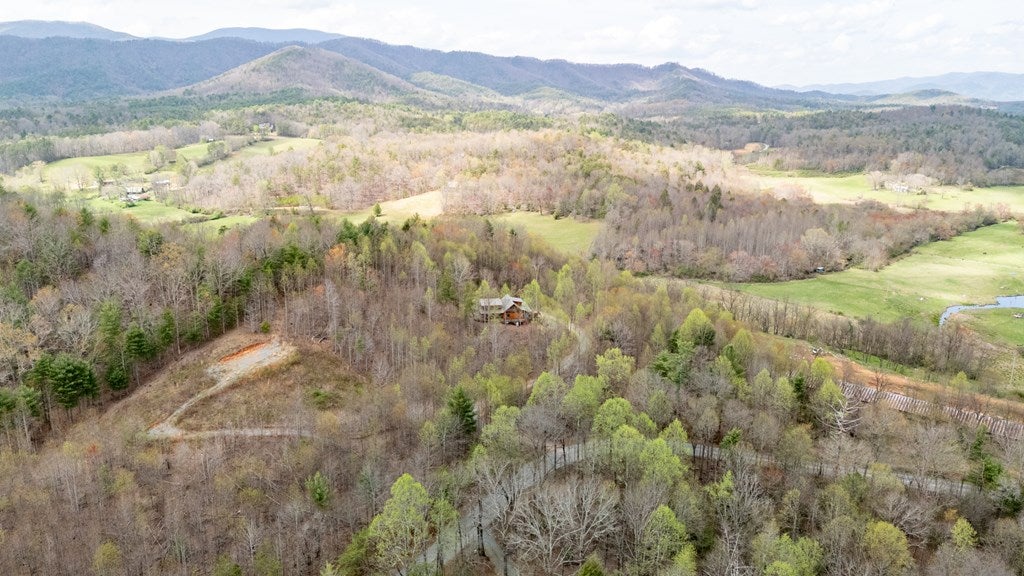 Blue Ridge, Georgia, 30513, United States, 4 Bedrooms Bedrooms, ,3 BathroomsBathrooms,Residential,For Sale,1762405