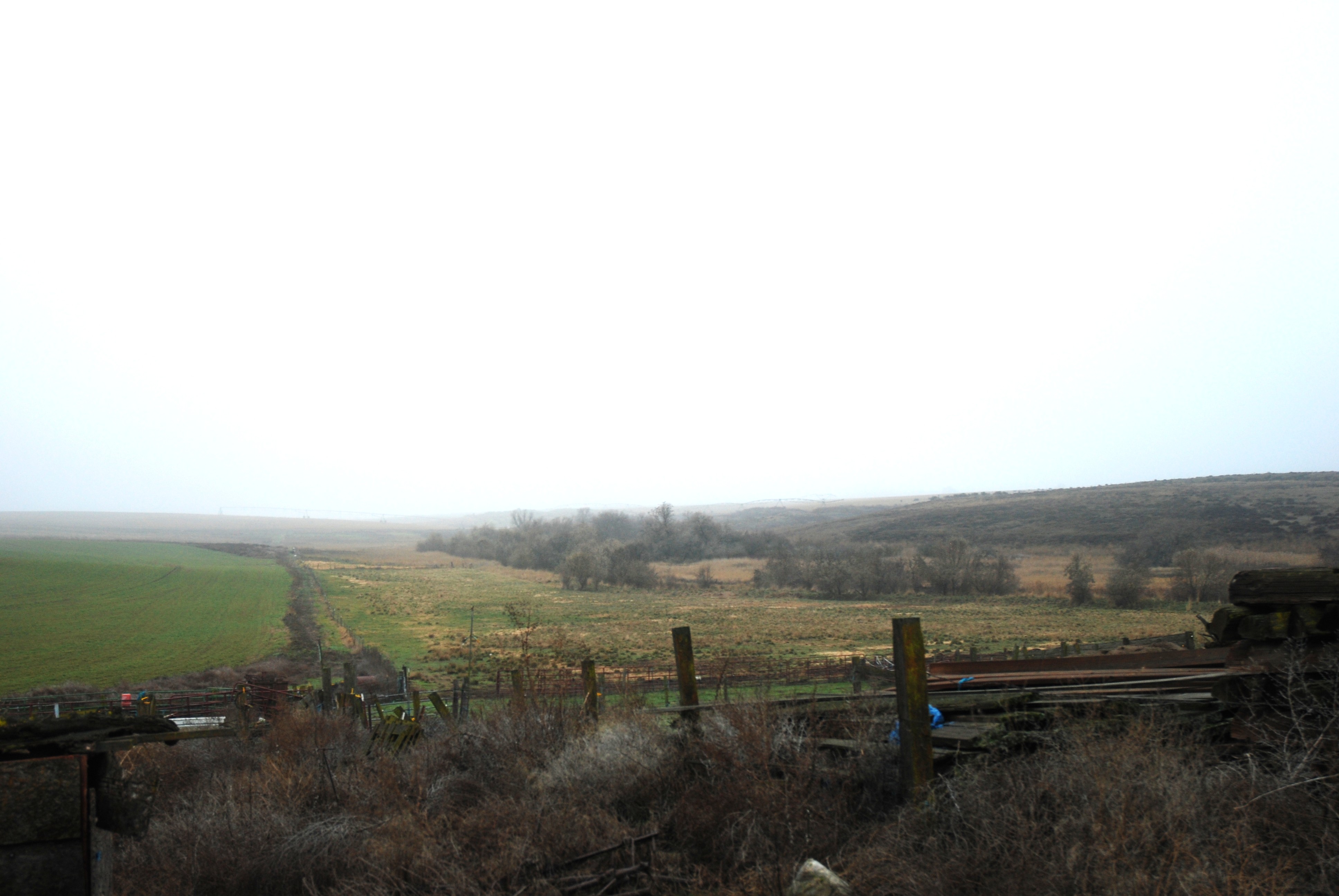 Warden, Washington, 98857, United States, 4 Bedrooms Bedrooms, ,1 BathroomBathrooms,Residential,For Sale,2006383