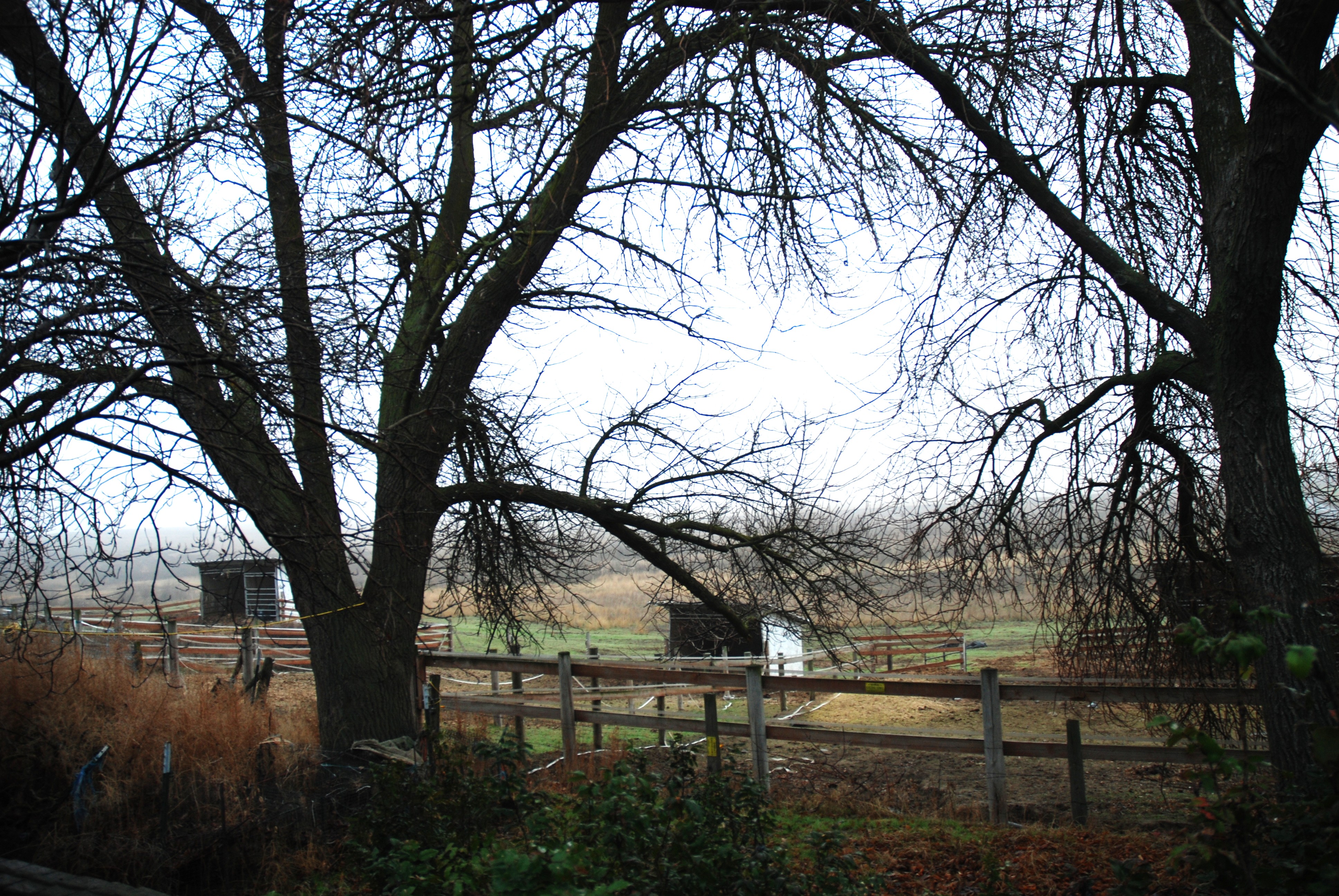 Warden, Washington, 98857, United States, 4 Bedrooms Bedrooms, ,1 BathroomBathrooms,Residential,For Sale,2006383