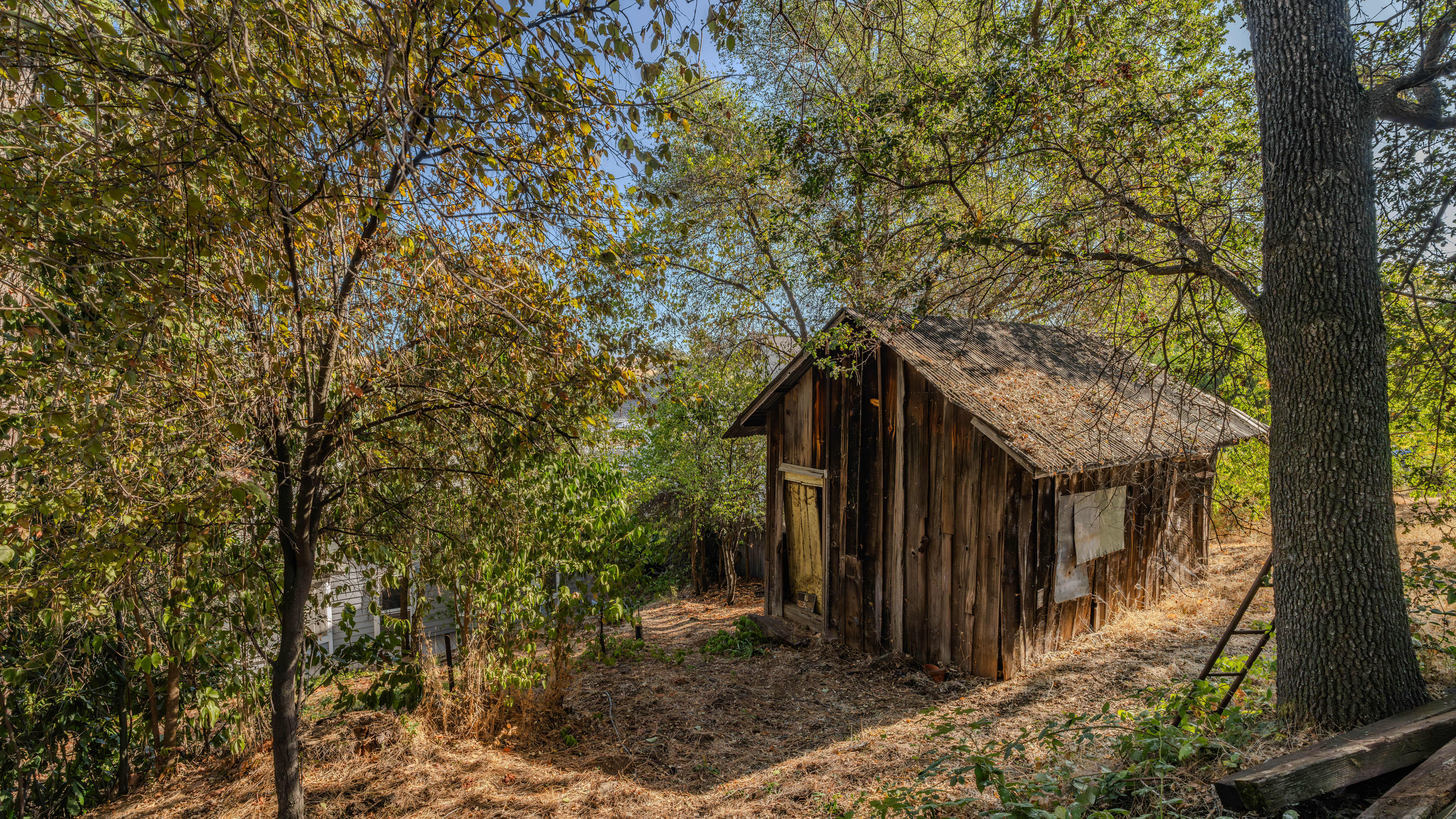  54 Badger Street, Sutter Creek, CA 95685 - 物件實景