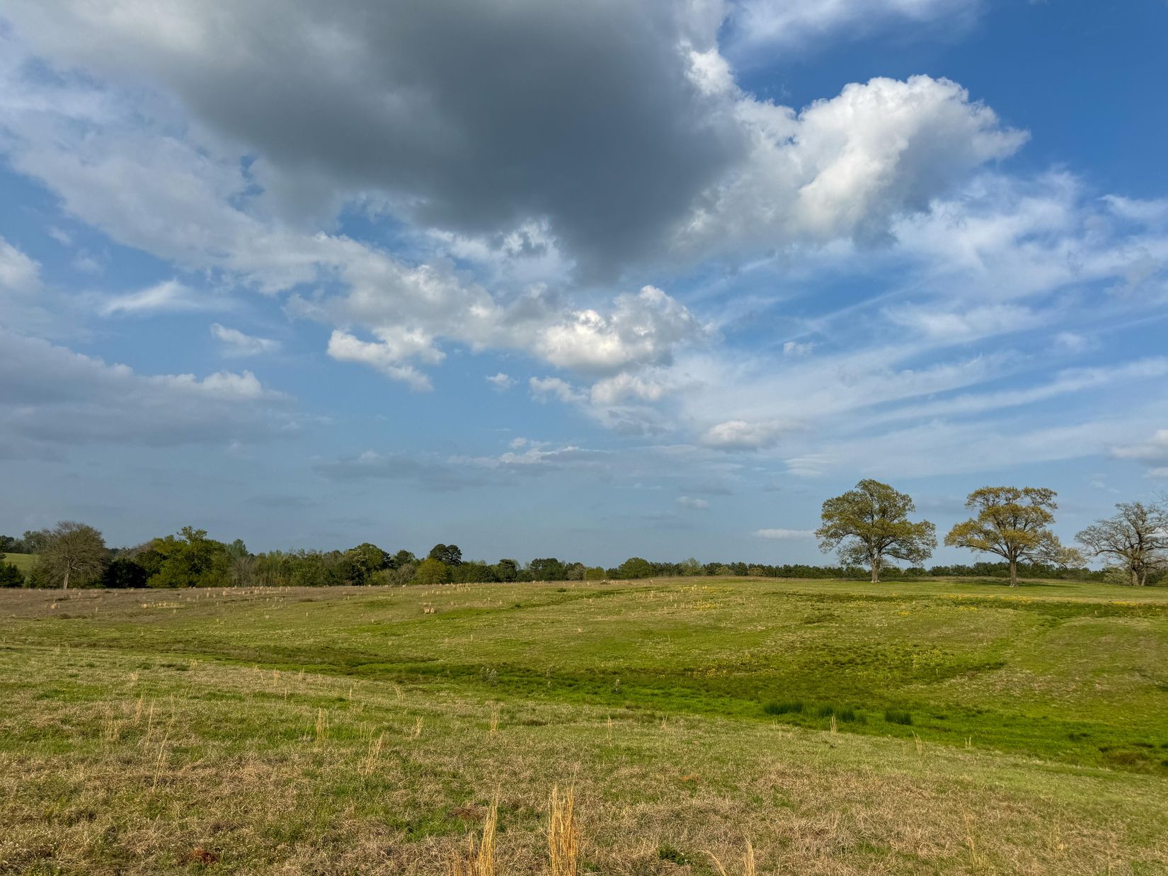 Bivins, Texas, 75555, United States, ,Residential,For Sale,1755933