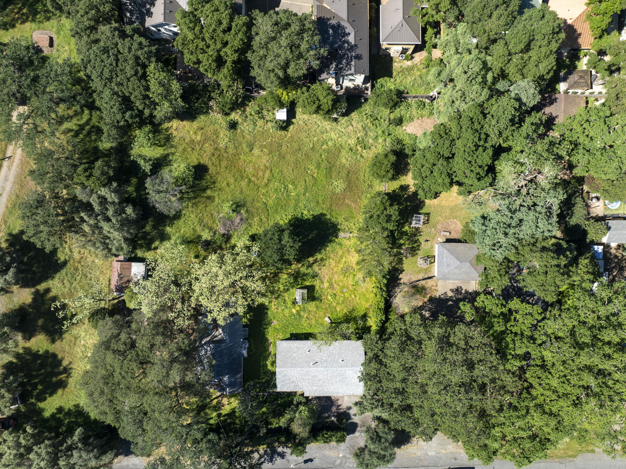  1446 Sulphur Springs Ave - Saint Helena - 物件實景