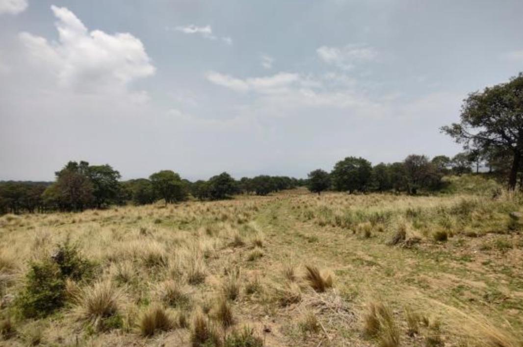 Camino sin nombre, Ayapango, Estado de México, 56760, Mexico, 1 Bedroom Bedrooms, ,Residential,For Sale,Camino sin nombre,1616925
