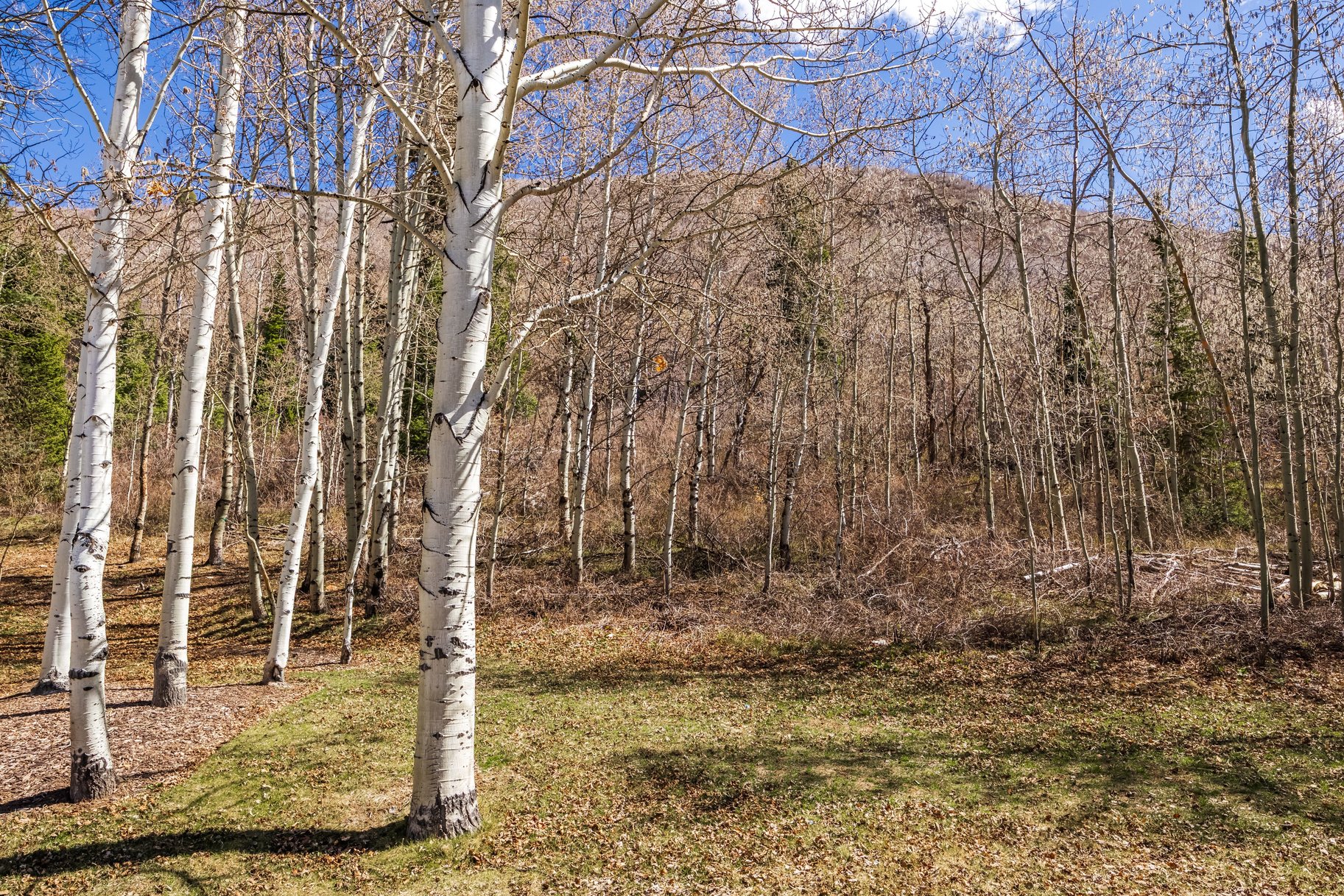  Refined and Fabulous 3-Bedroom Townhome in Lower Deer Valley - 物件實景