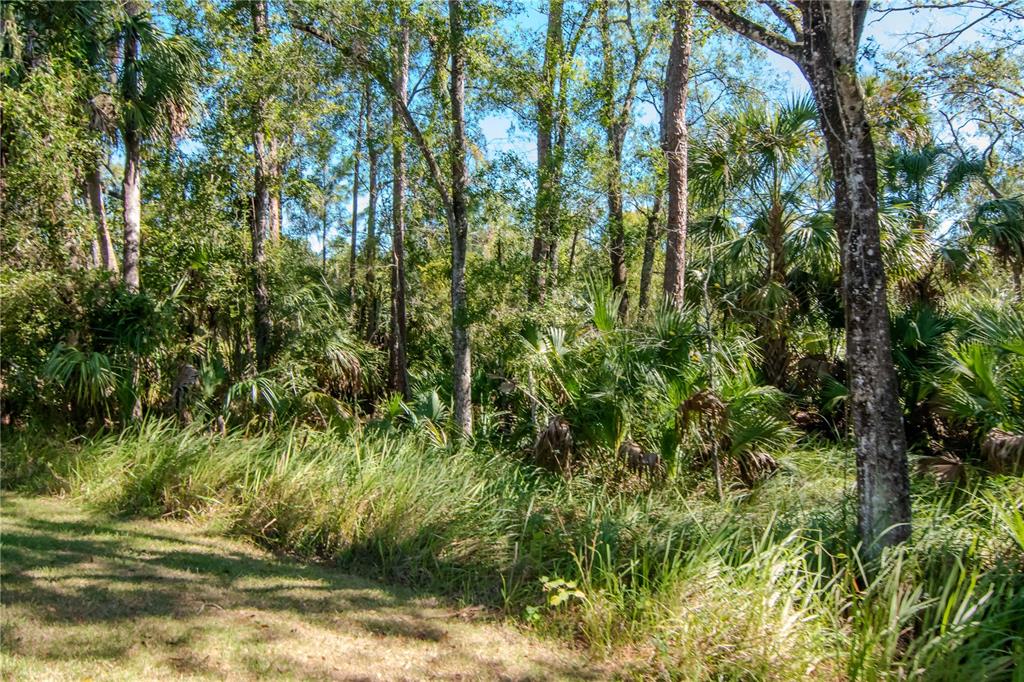 Tampa, Florida, 33647, United States, 4 Bedrooms Bedrooms, ,4 BathroomsBathrooms,Residential,For Sale,1989422