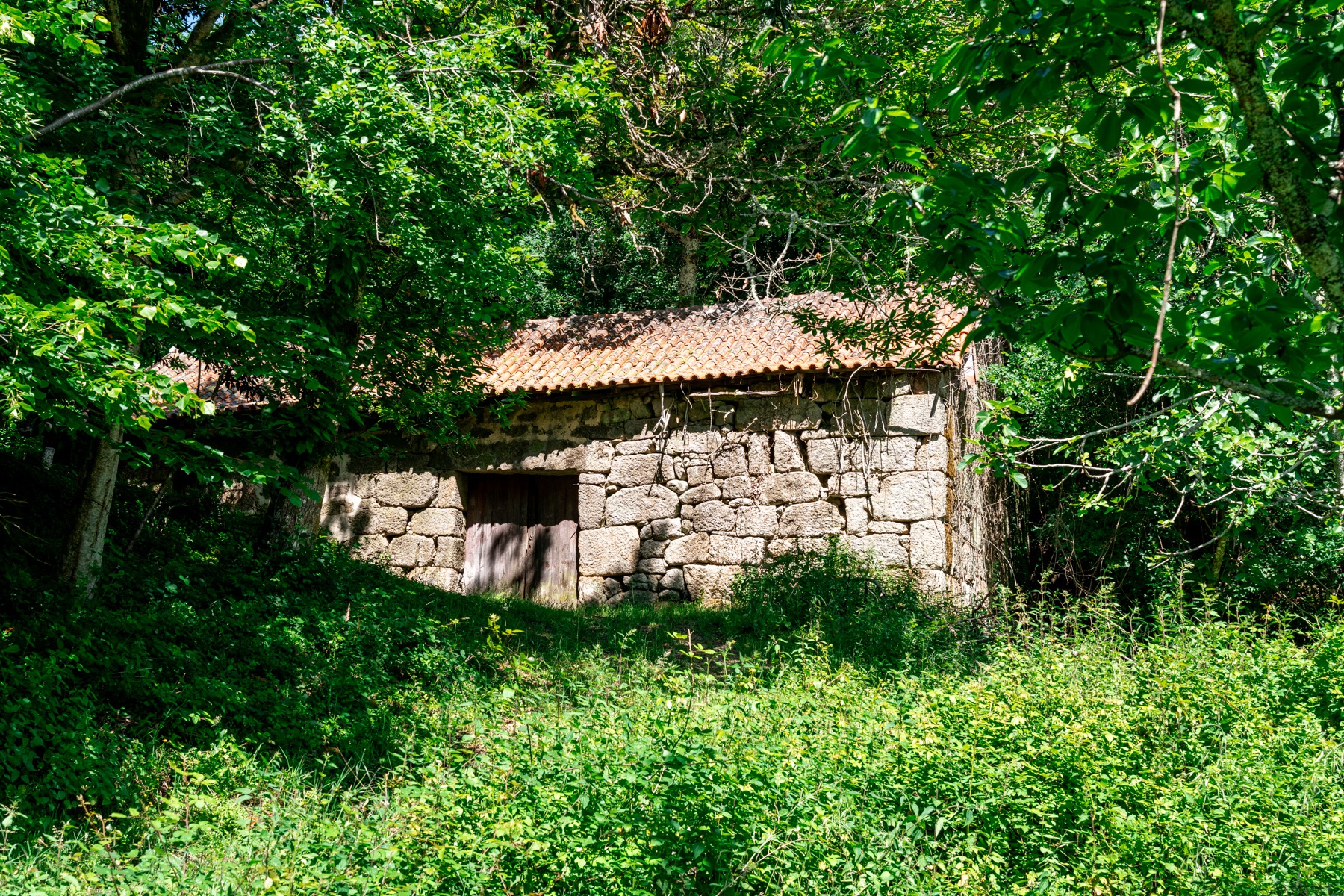 Farm for Sale - 物件實景