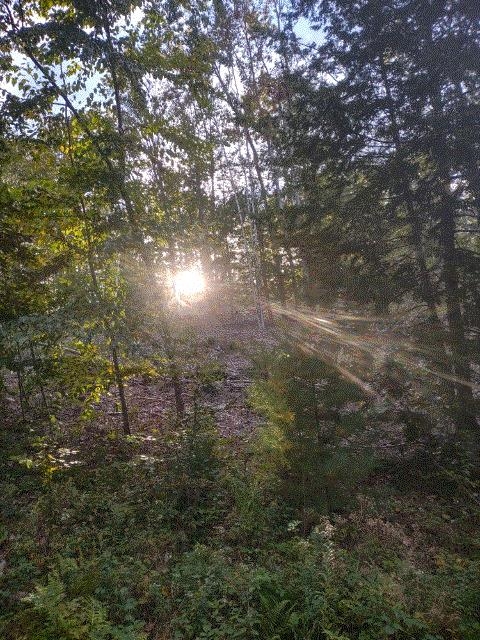 Farmington, New Hampshire, 03835, United States, ,Residential,For Sale,1845951