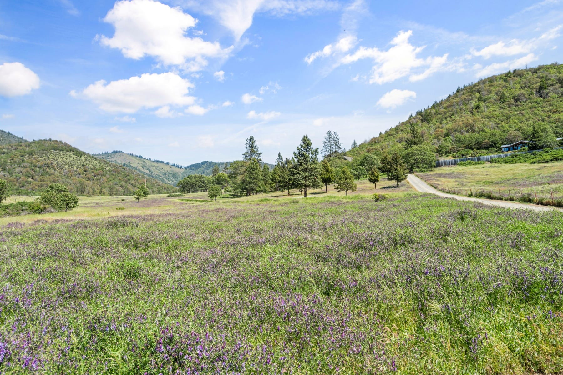  1050 Humbug Creek Road Applegate, OR 97530 - 物件實景