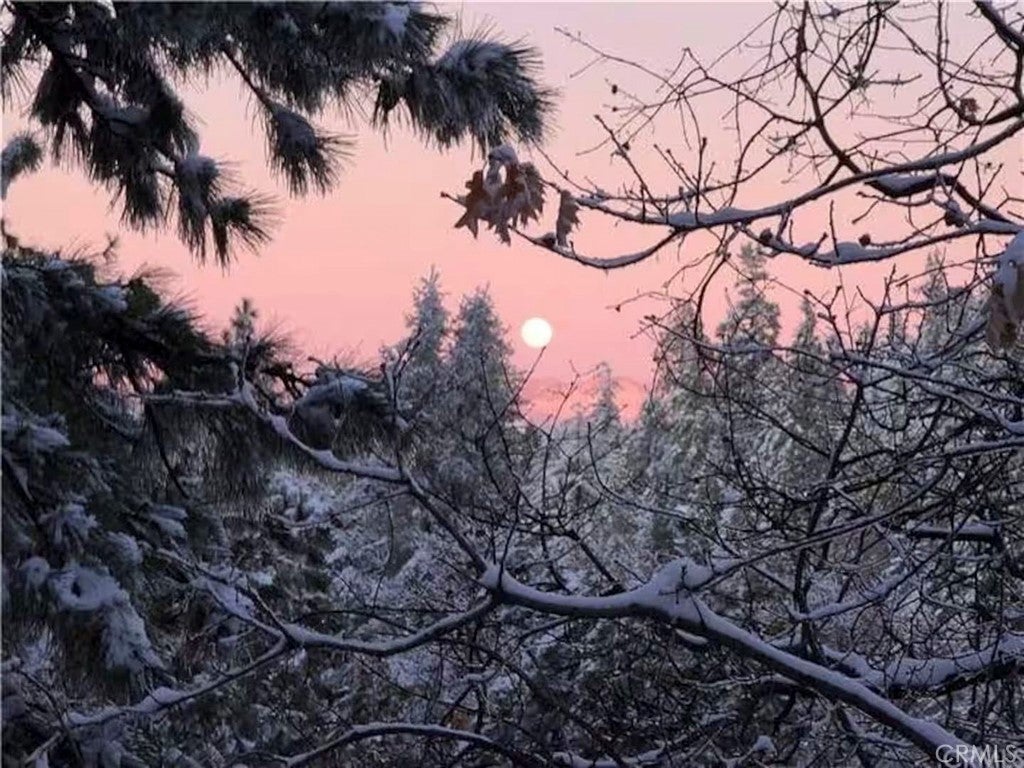 Crestline, California, 92325, United States, 3 Bedrooms Bedrooms, ,3 BathroomsBathrooms,Residential,For Sale,1939117