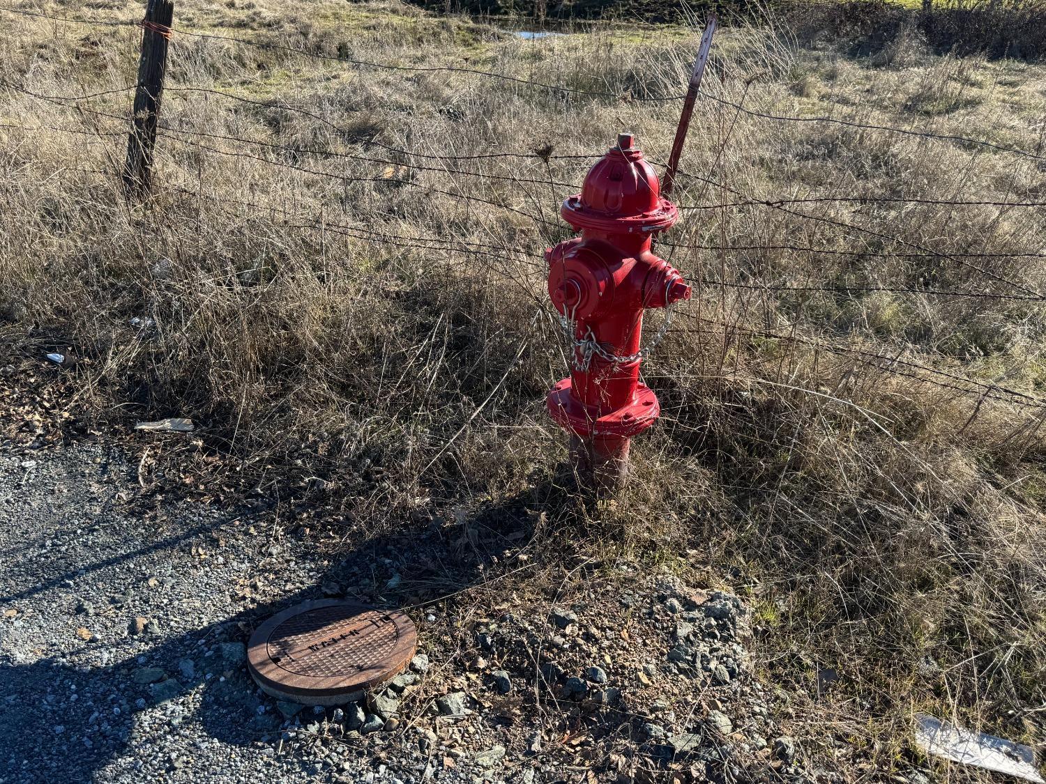 Cool, California, 95614, United States, ,Land,For Sale,1994251