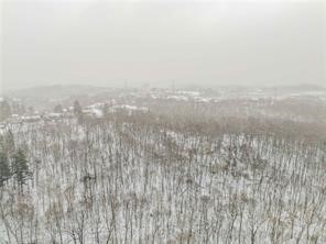 Coraopolis, Pennsylvania, 15108, United States, ,Residential,For Sale,2007819