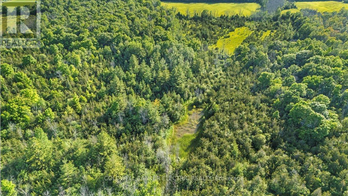 PRINCE EDWARD COUNTY (AMELIASBURG WARD), Ontario, K0K 1A0, CA, 5 Bedrooms Bedrooms, ,2 BathroomsBathrooms,Residential,For Sale,1867641