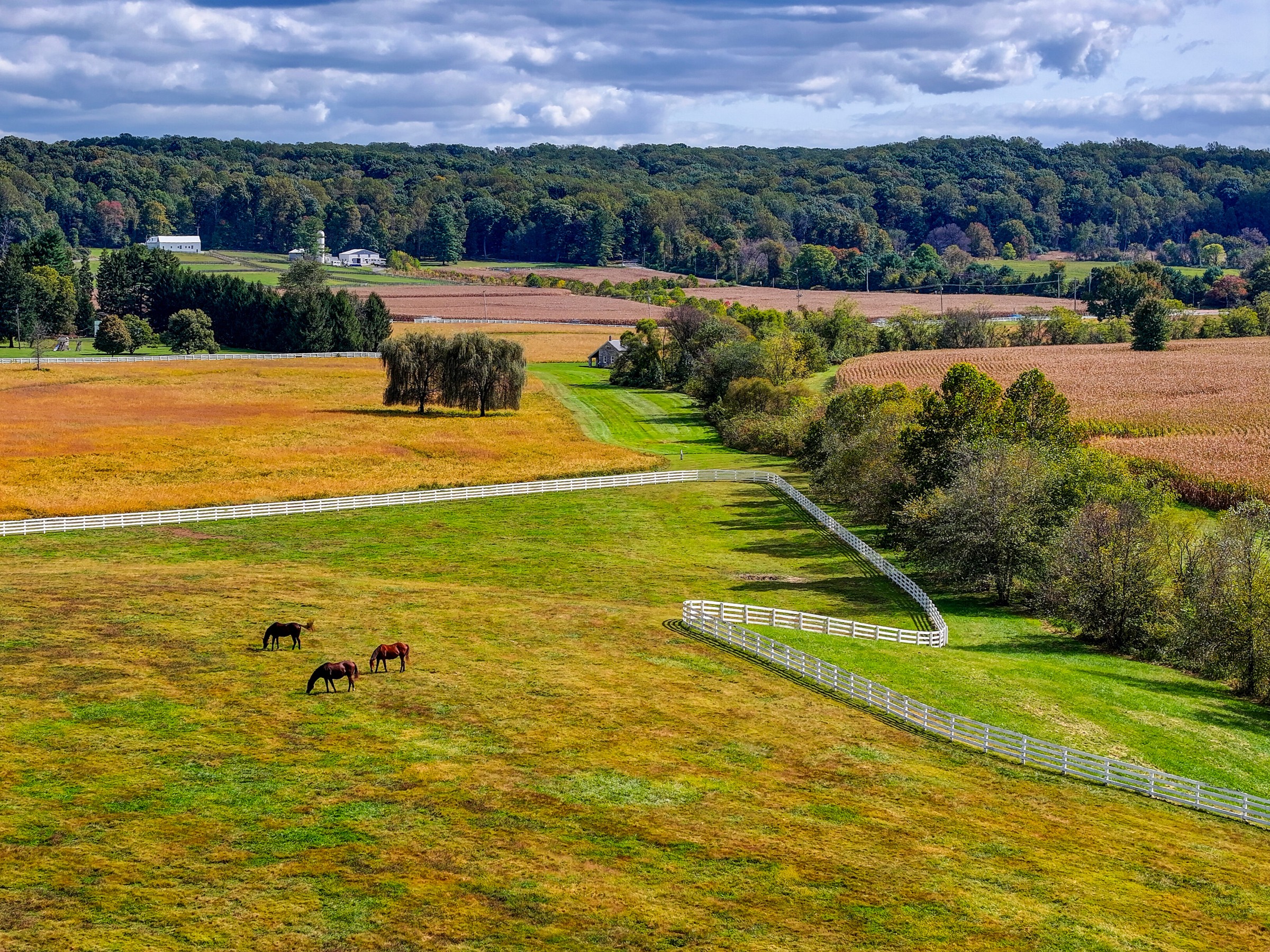  Worthington Valley - 物件實景