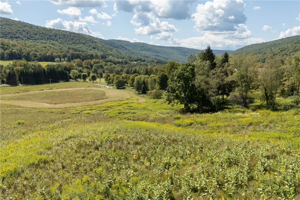 Walton, New York, 13856, United States, 4 Bedrooms Bedrooms, ,4 BathroomsBathrooms,Residential,For Sale,1947097