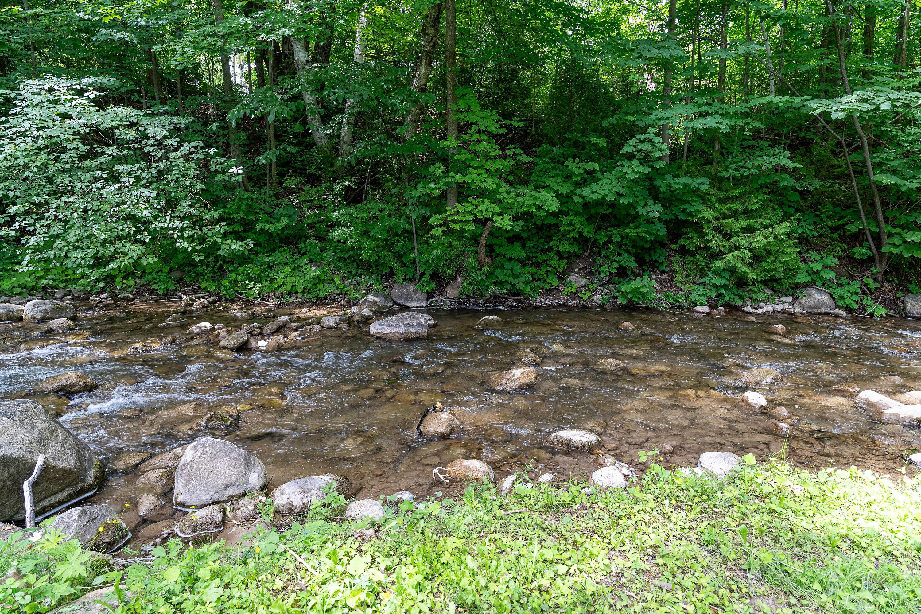  1.77-Acre Sanctuary - 物件實景