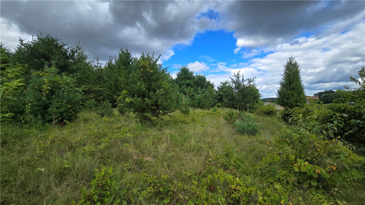 Chippewa Falls, Wisconsin, 54729, United States, ,Land,For Sale,1941721