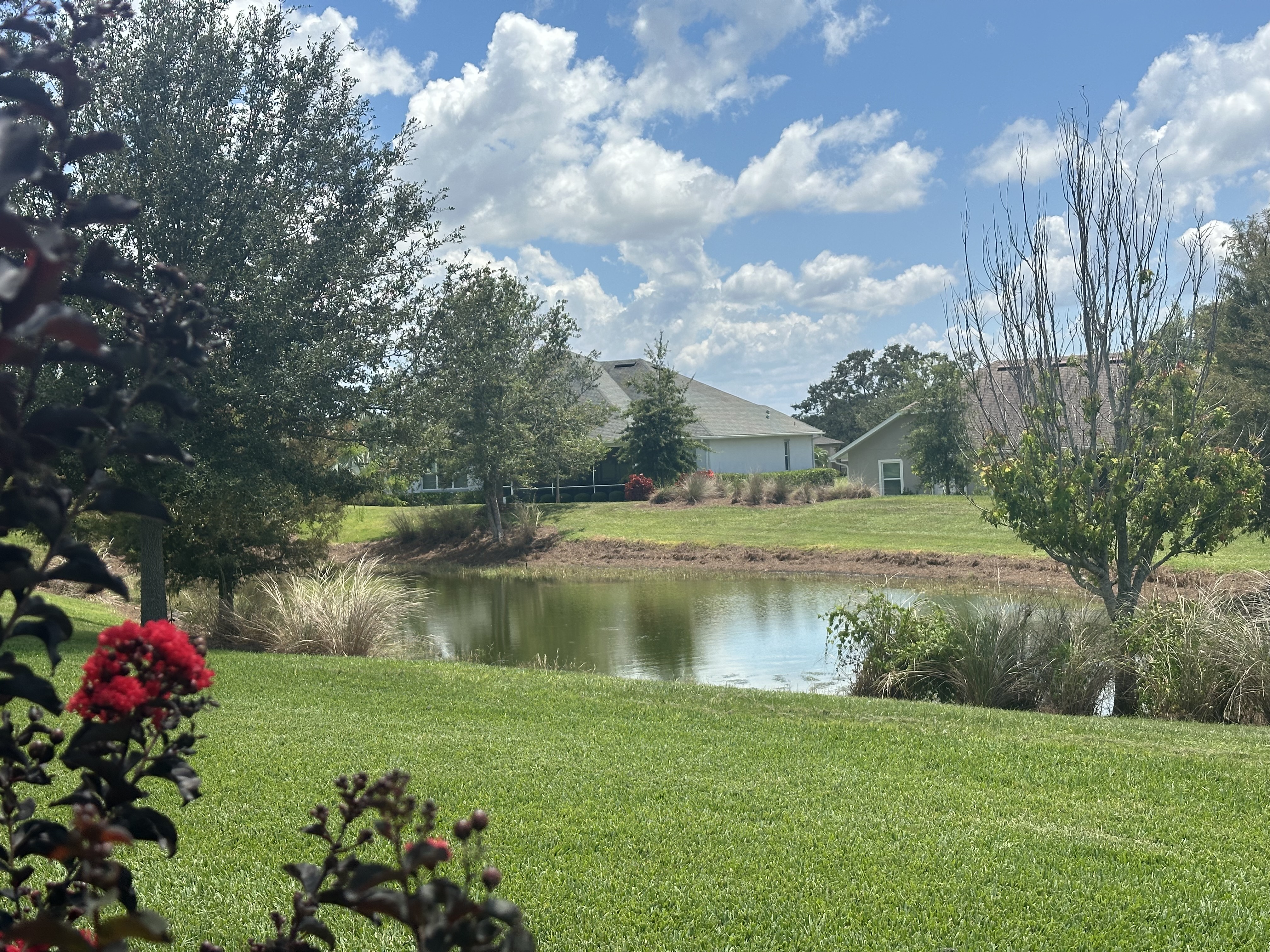 Lady Lake, Florida, 32159, United States, 4 Bedrooms Bedrooms, ,3 BathroomsBathrooms,Residential,For Sale,1945025