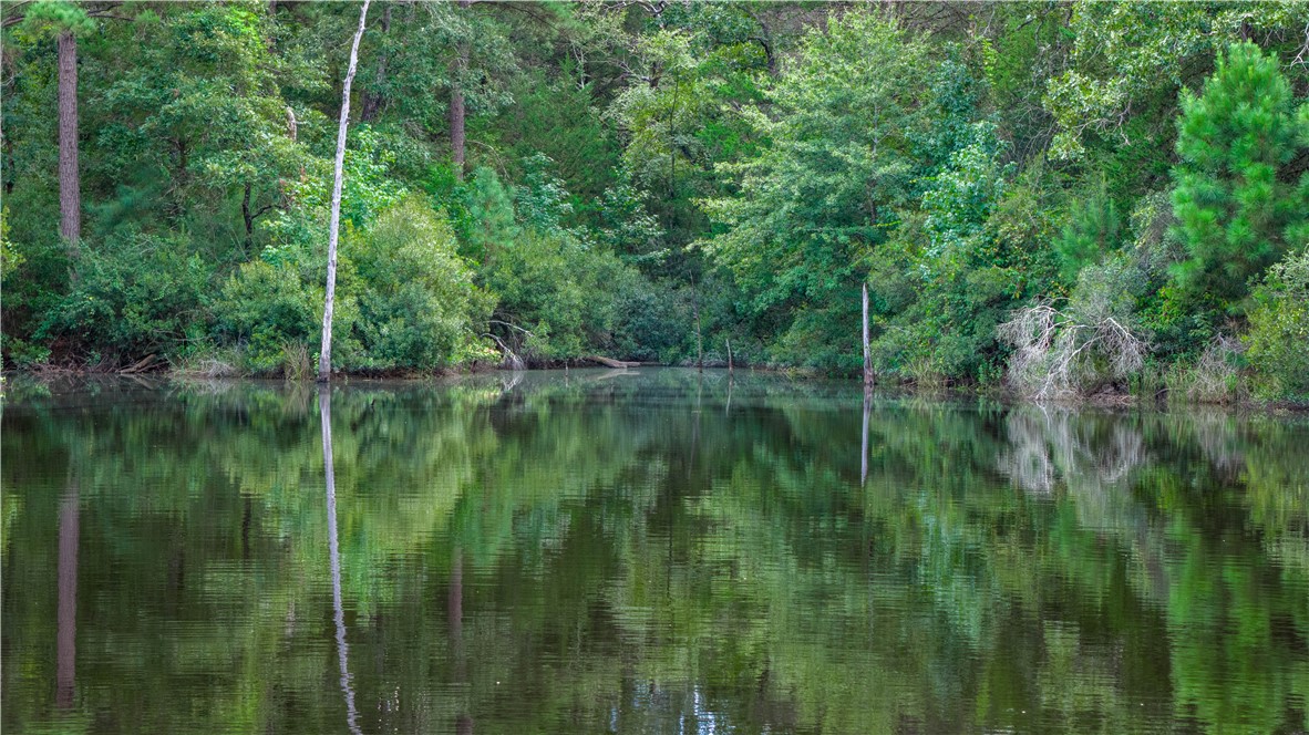 Midway, Texas, 75852, United States, 1 Bedroom Bedrooms, ,1 BathroomBathrooms,Residential,For Sale,1957289