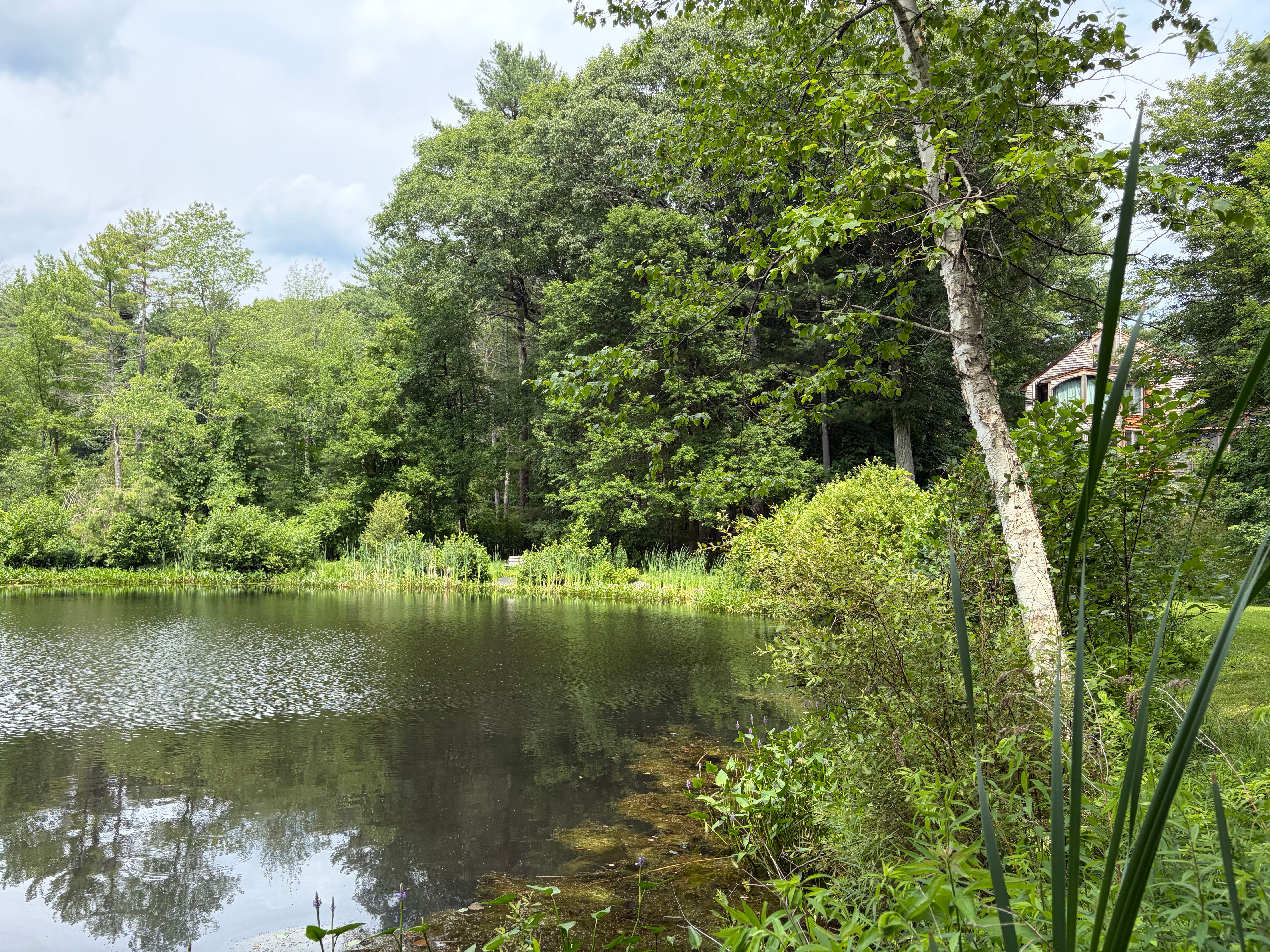  0 Judy Farm Road, Carlisle, MA, 01741 - 物件實景