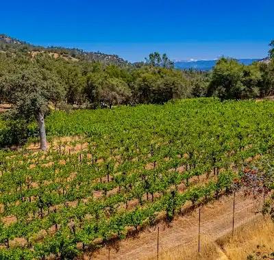 O Neals, California, 93645, United States, 3 Bedrooms Bedrooms, ,2 BathroomsBathrooms,Residential,For Sale,1981771