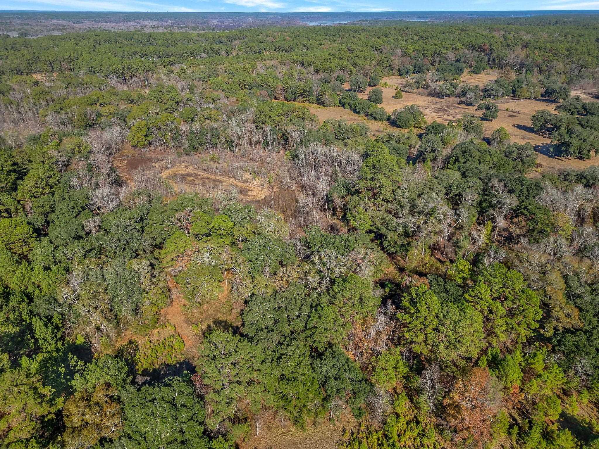 Tallahassee, Florida, 32312, United States, ,Land,For Sale,2003091