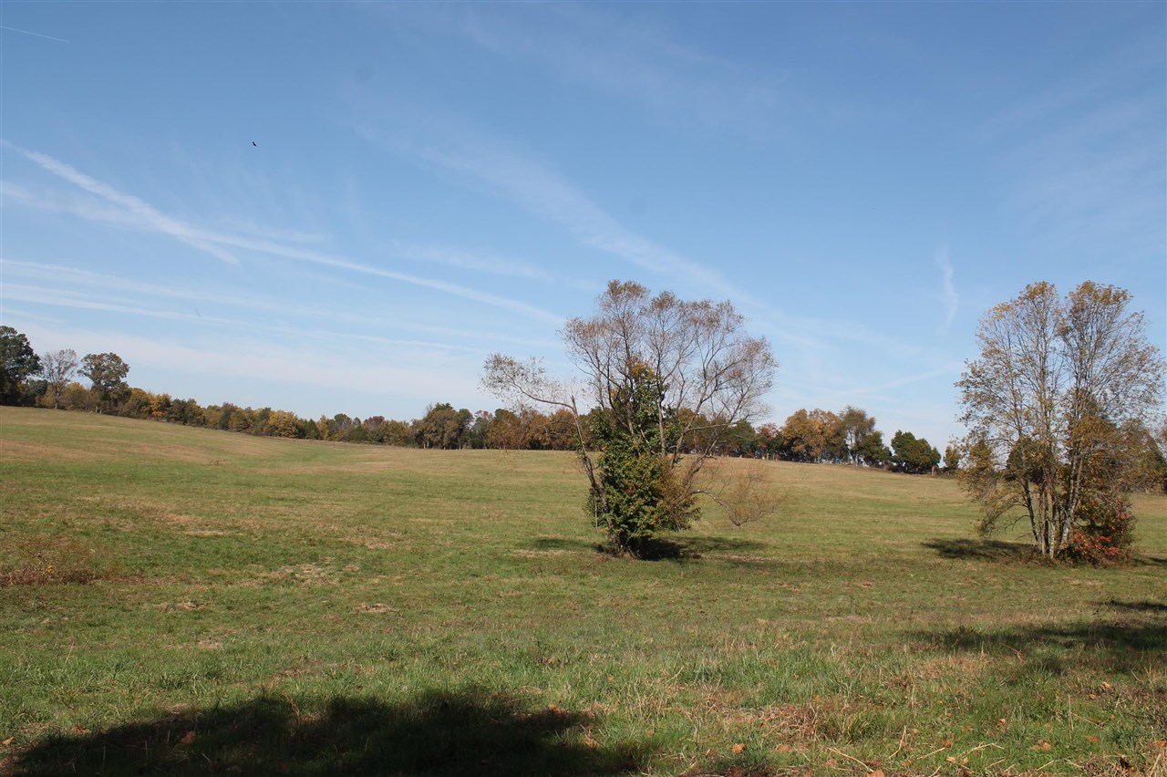 Bowling Green, Kentucky, 42101, United States, 3 Bedrooms Bedrooms, ,2 BathroomsBathrooms,Residential,For Sale,1838101