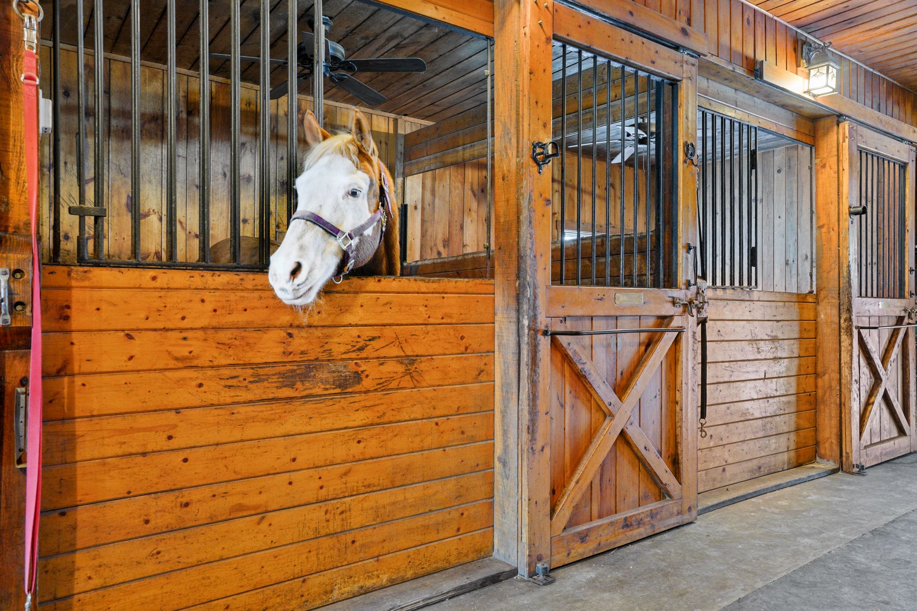  417 Candia Road - 物件實景