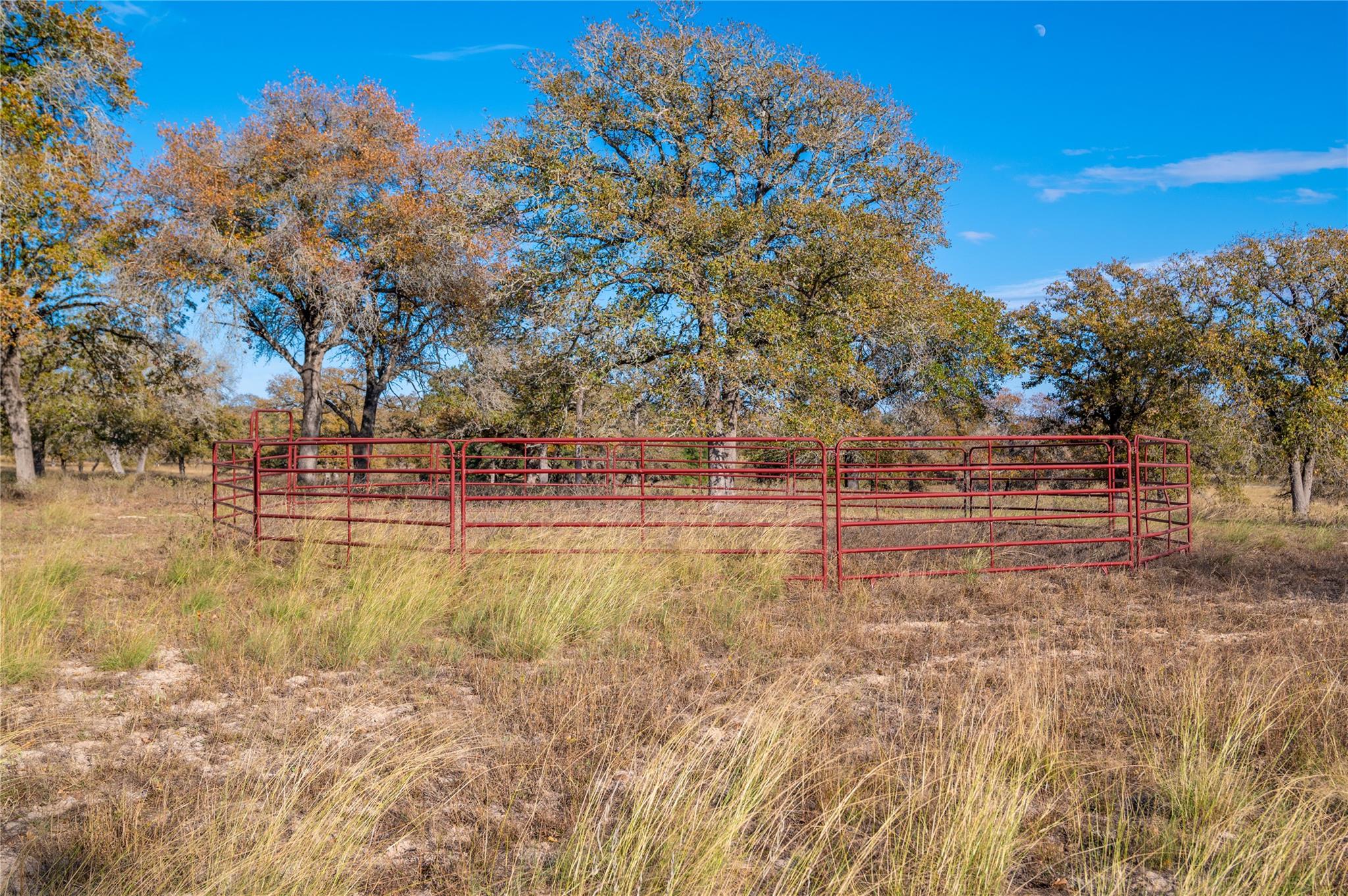 Stockdale, Texas, 78160, United States, 1 Bedroom Bedrooms, ,1 BathroomBathrooms,Residential,For Sale,1937529