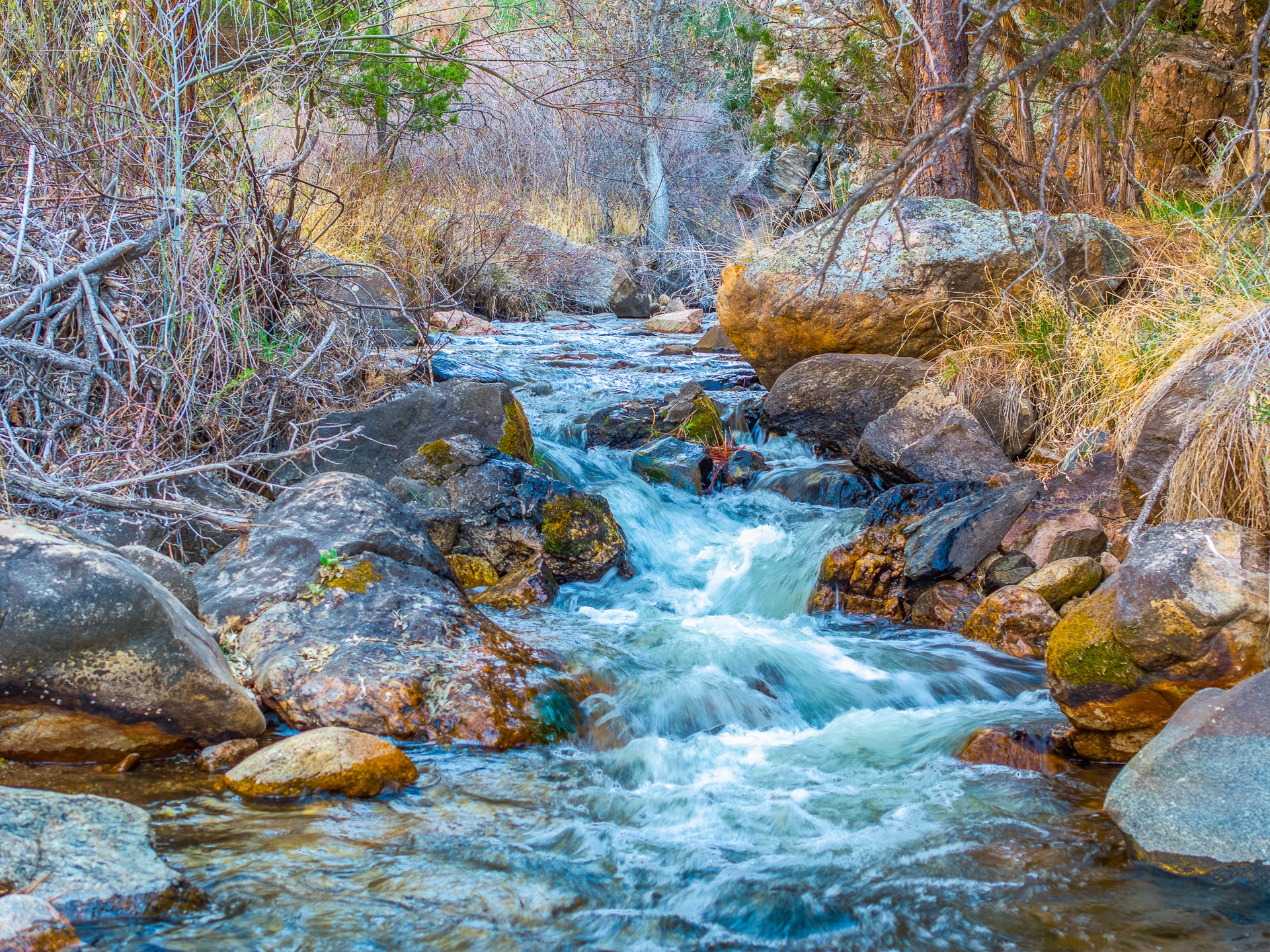 3.5 Acre Lot Camino Del Canon - 物件實景