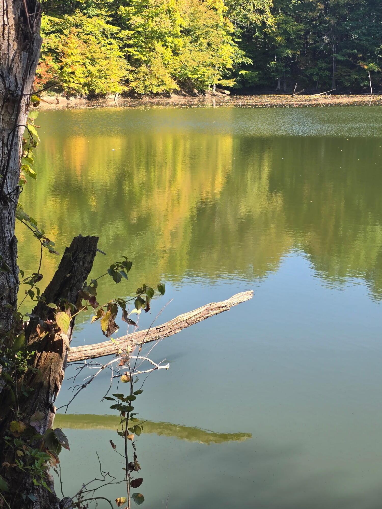 Cardington, Ohio, 43315, United States, 3 Bedrooms Bedrooms, ,2 BathroomsBathrooms,Residential,For Sale,1983191