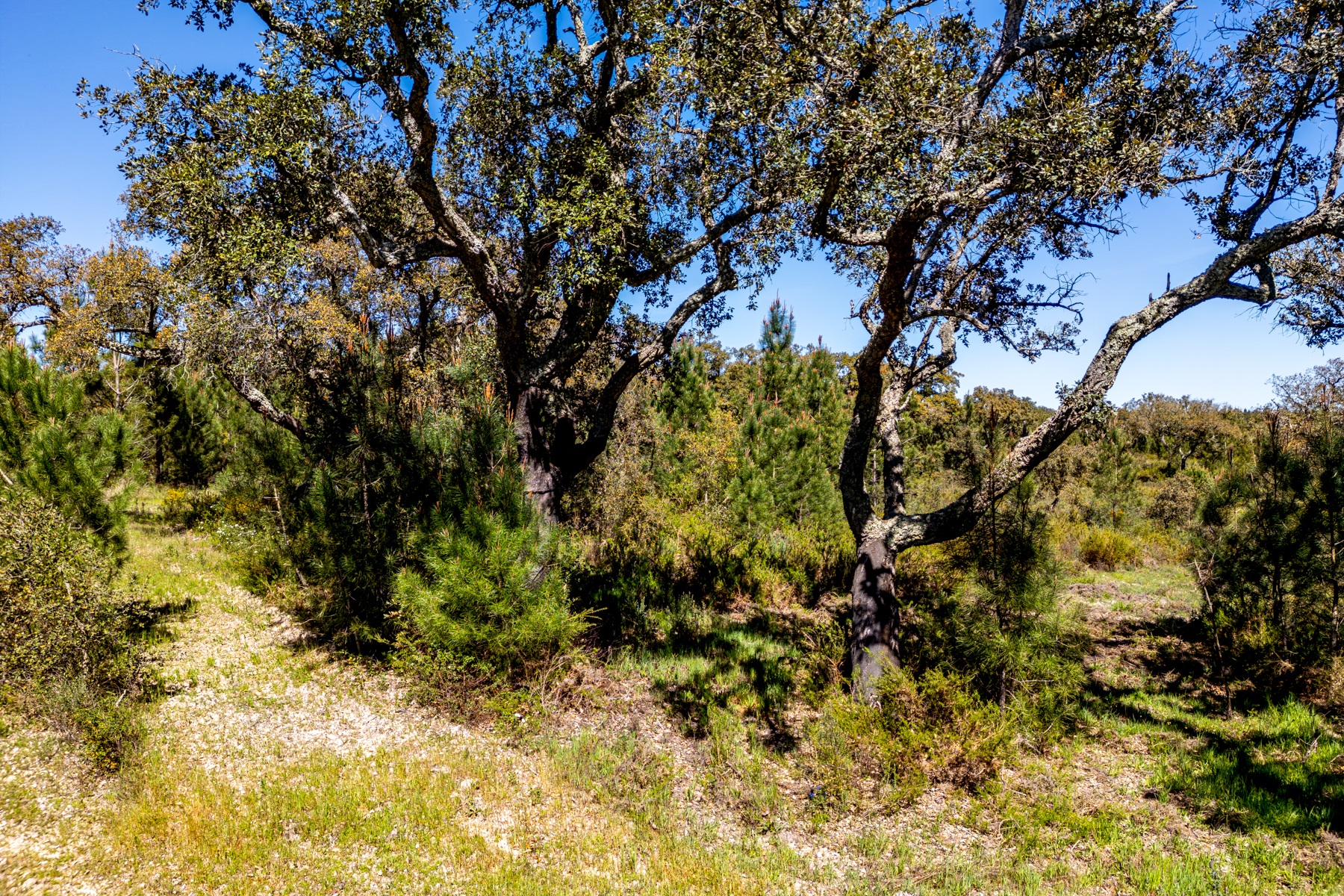  Stand for Sale - 物件實景