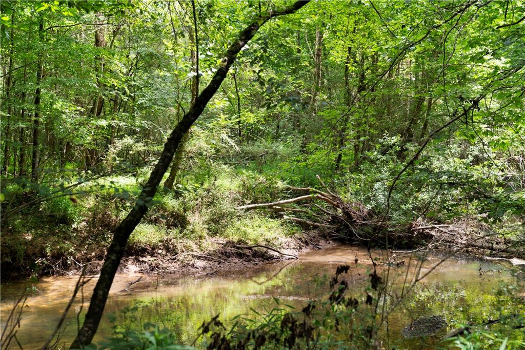 Rome, Georgia, 30165, United States, ,Land,For Sale,1892024