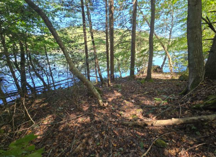 London, Kentucky, 40741, United States, ,Land,For Sale,1982608