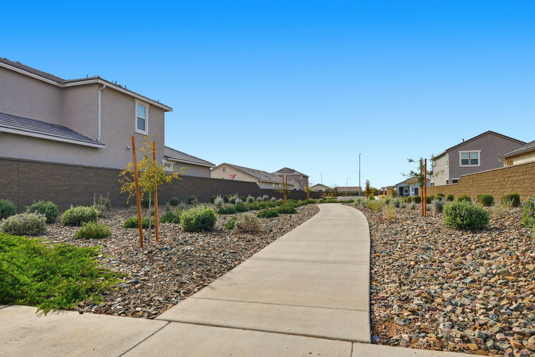  10281 S Corona Drive¦Apache Junction, AZ - 物件實景