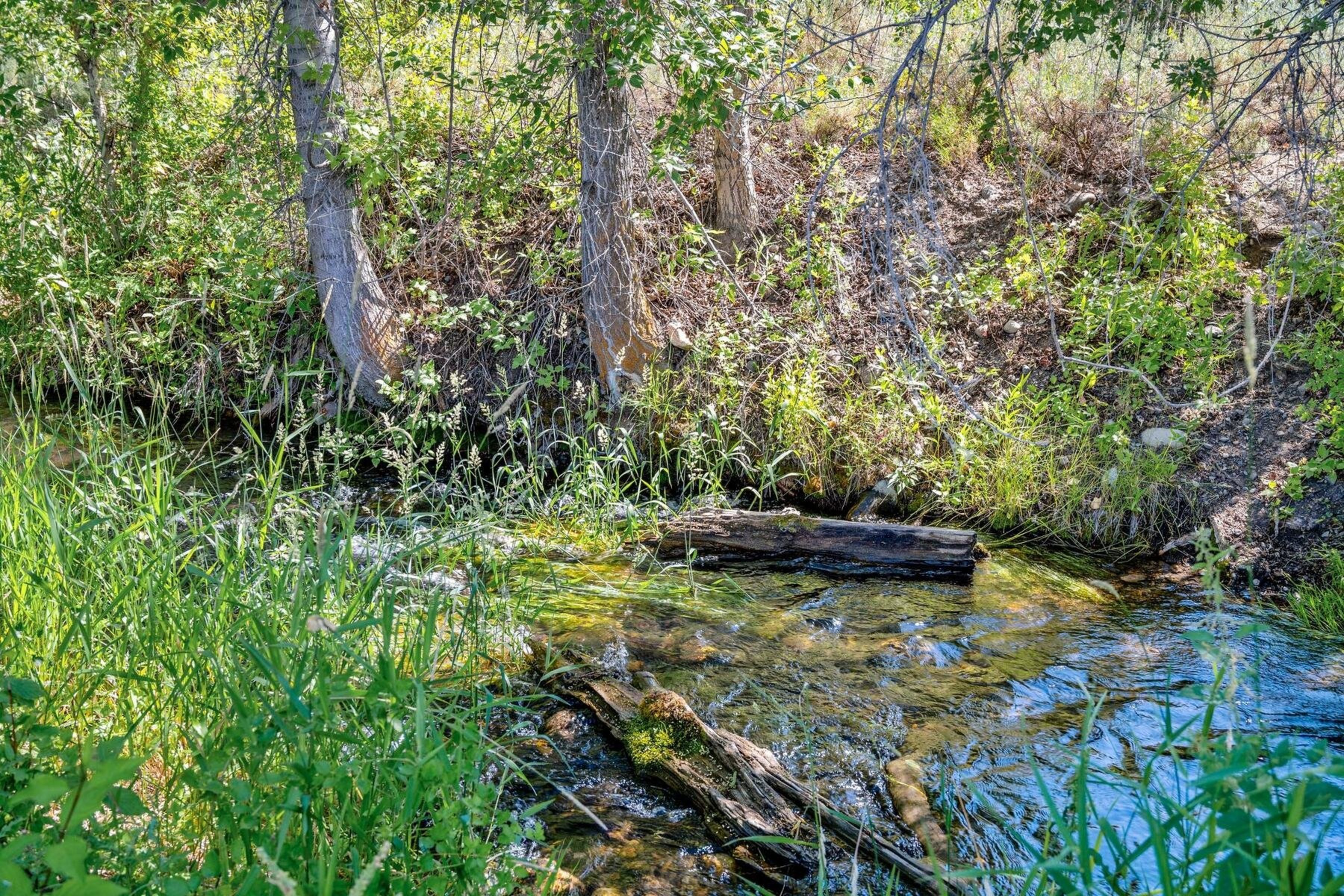  Bend Of The River Ranch - 物件實景