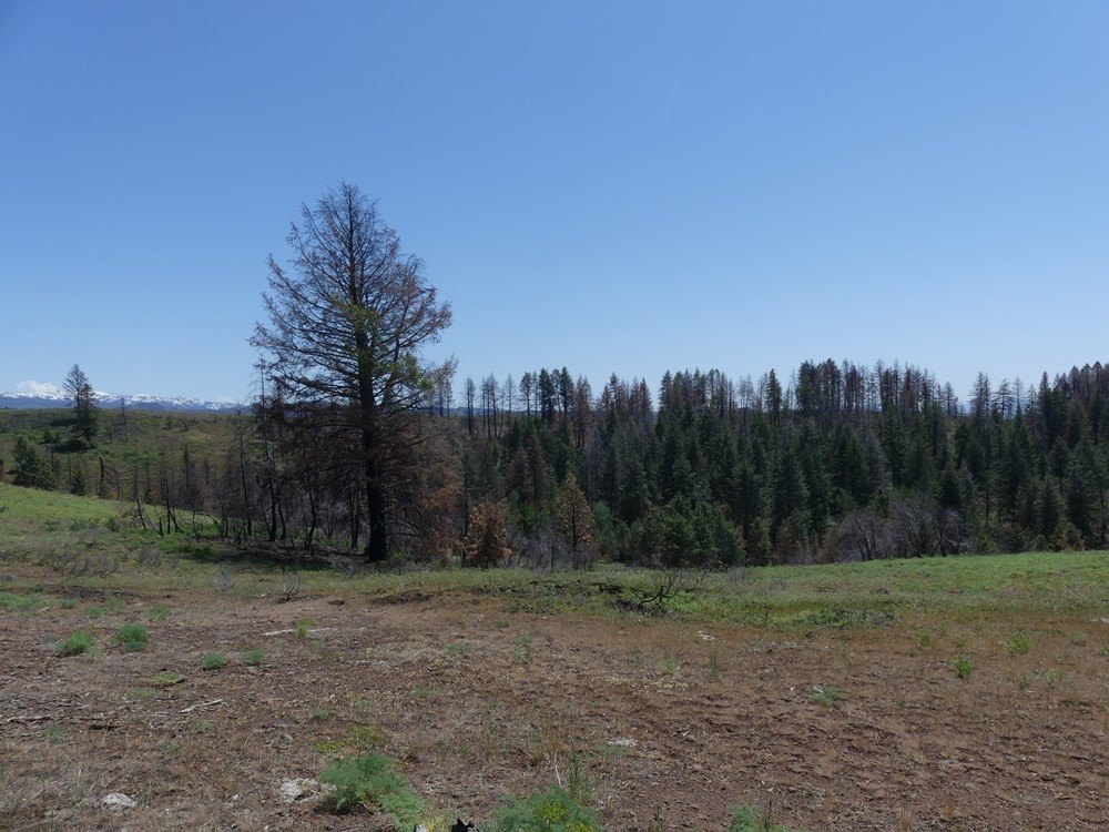 Indian Valley, Idaho, 83682, United States, ,Land,For Sale,1976667