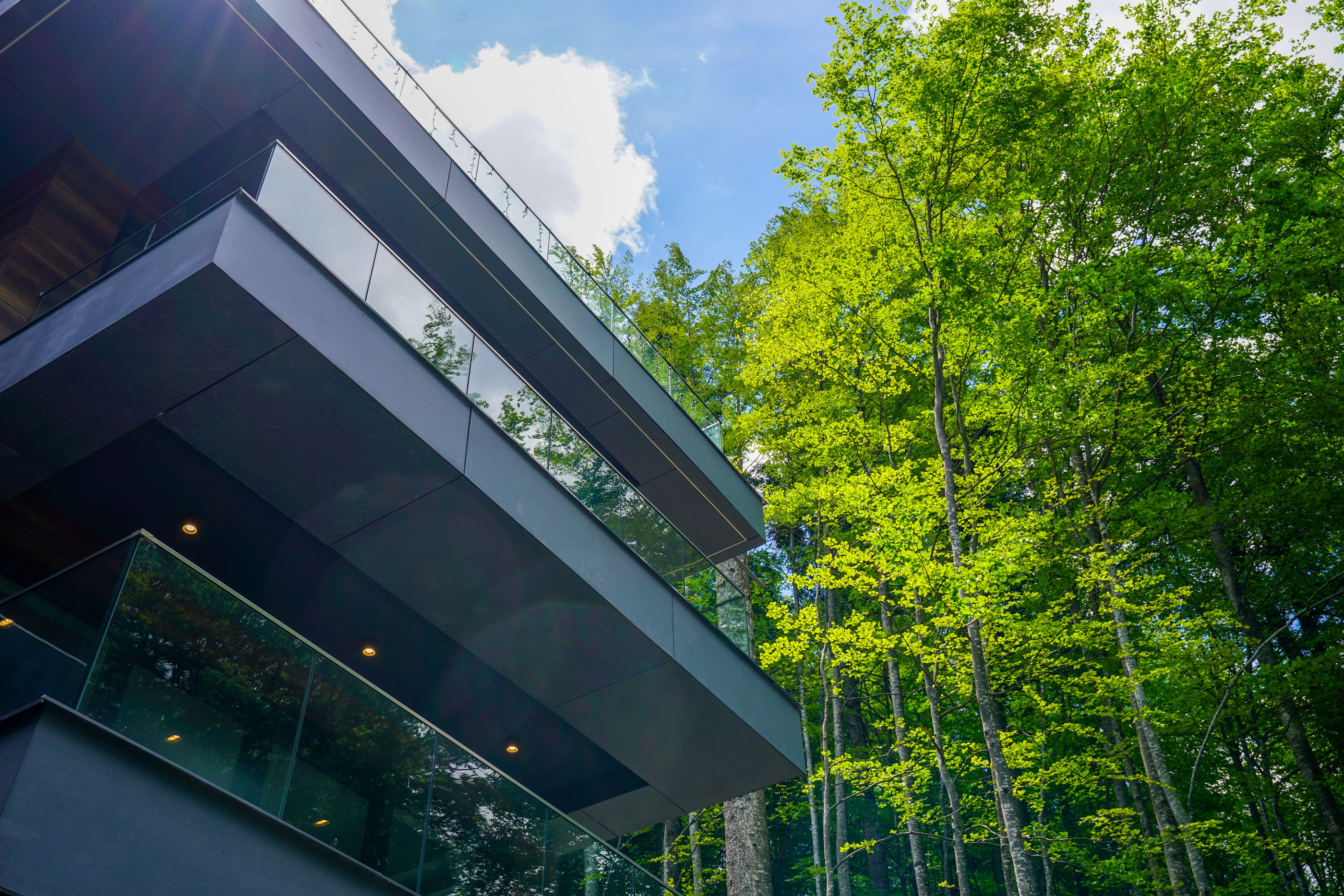 Penthouse Bordering the Forest, Sinaia - 物件實景