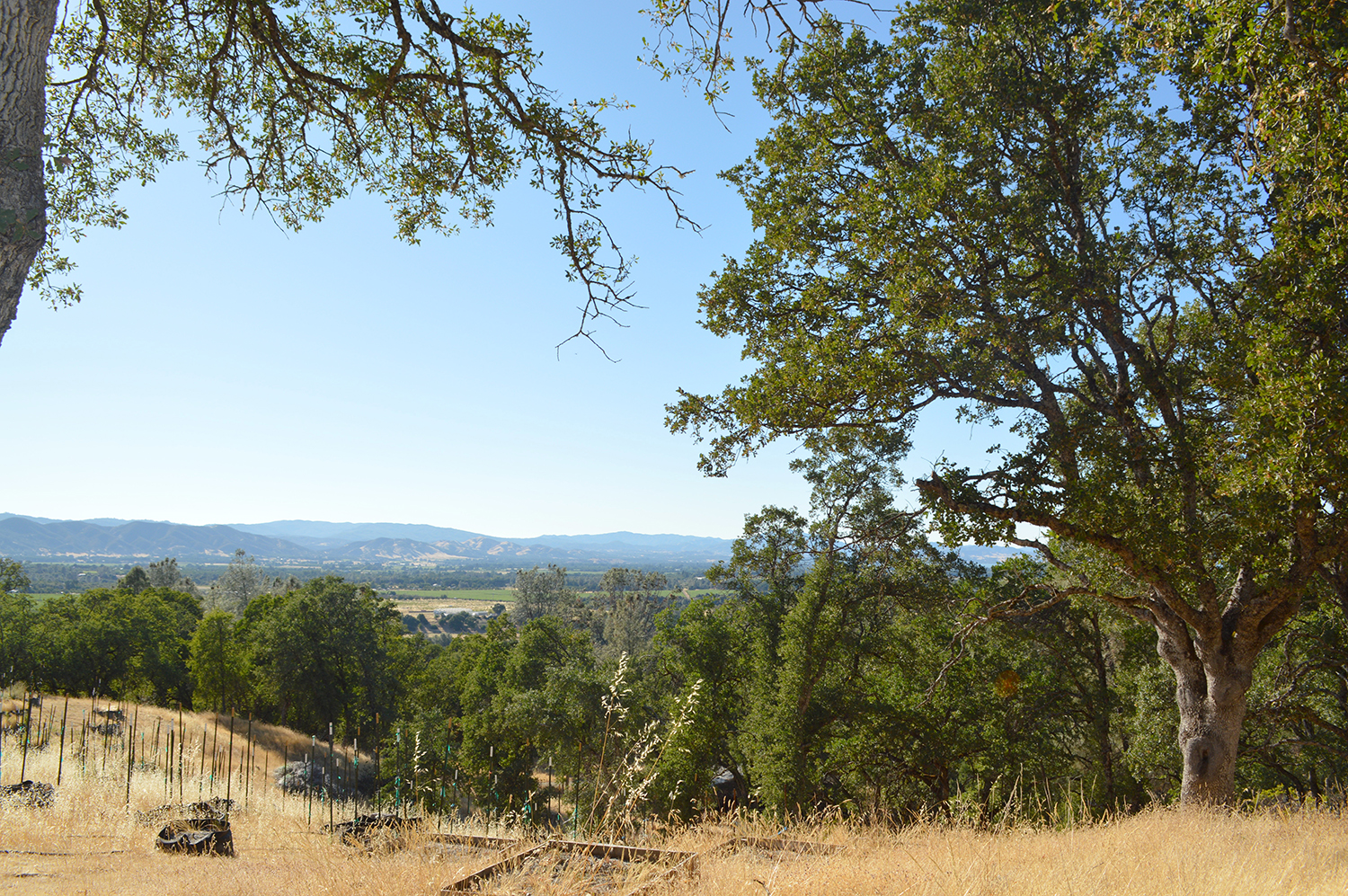 Kelseyville, California, 95451, United States, 2 Bedrooms Bedrooms, ,2 BathroomsBathrooms,Residential,For Sale,1856592