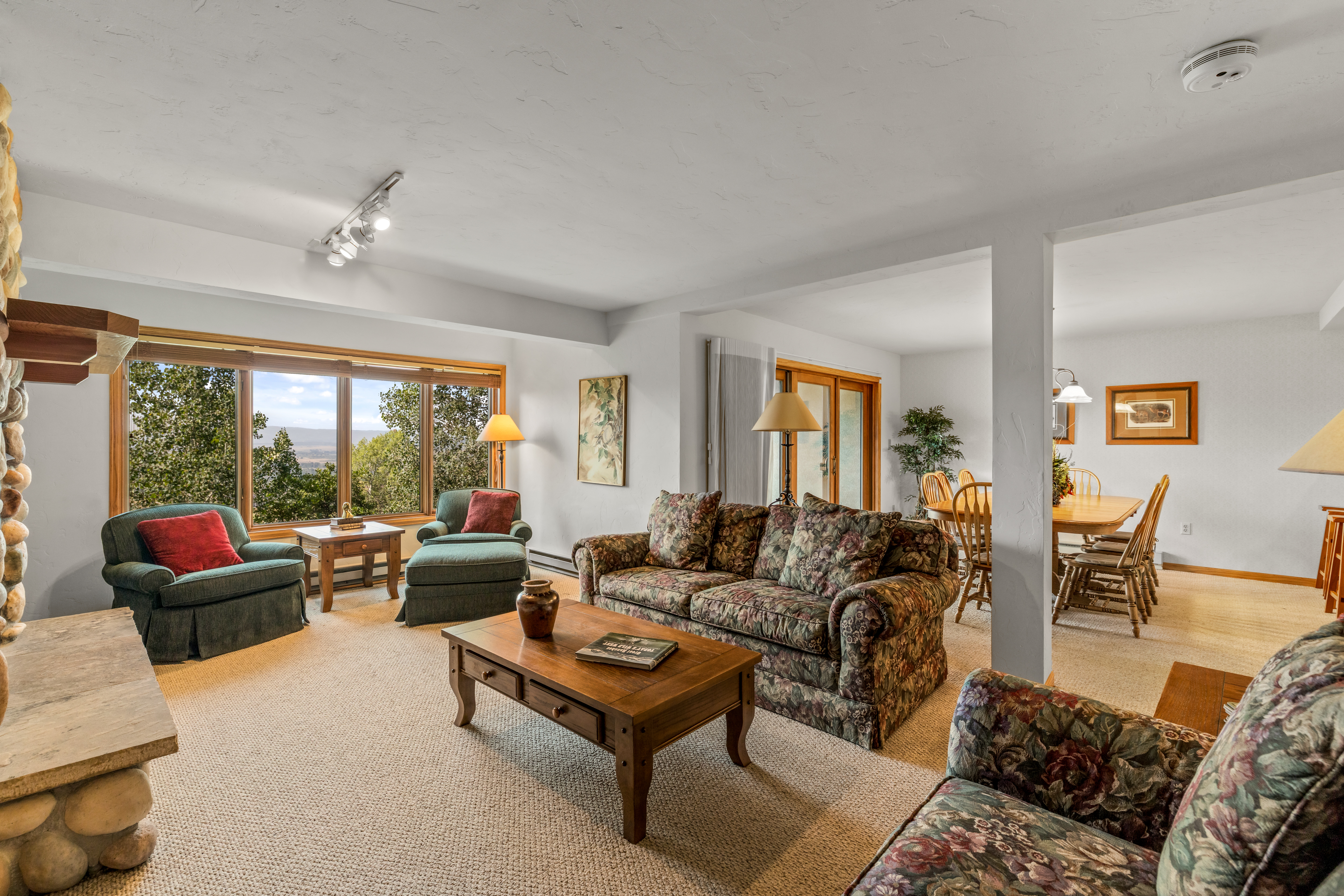  2290 Storm Meadows Drive, Steamboat Springs, CO, 80487 - 物件實景