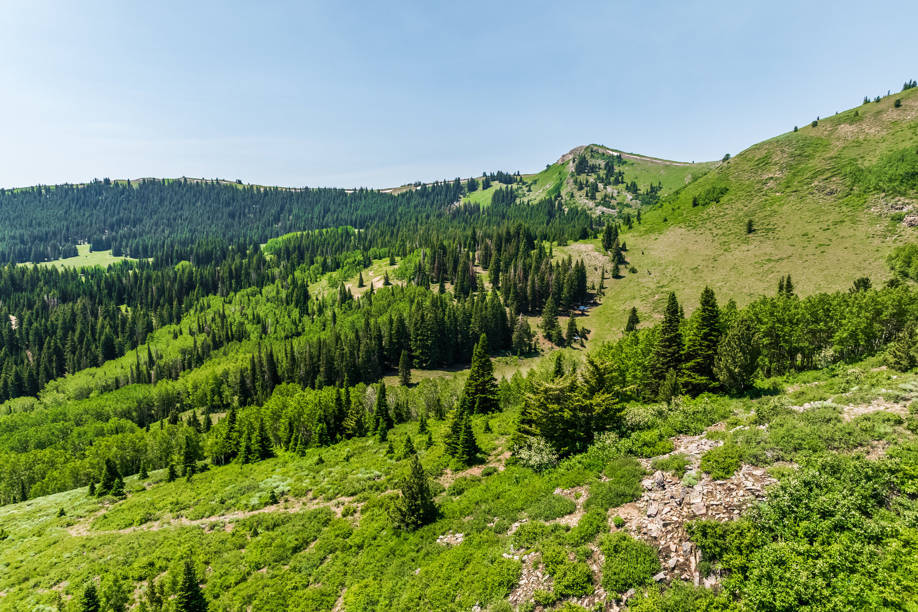  Incredible 28 Acre Estate Lot in the Colony at White Pine Canyon - 物件實景