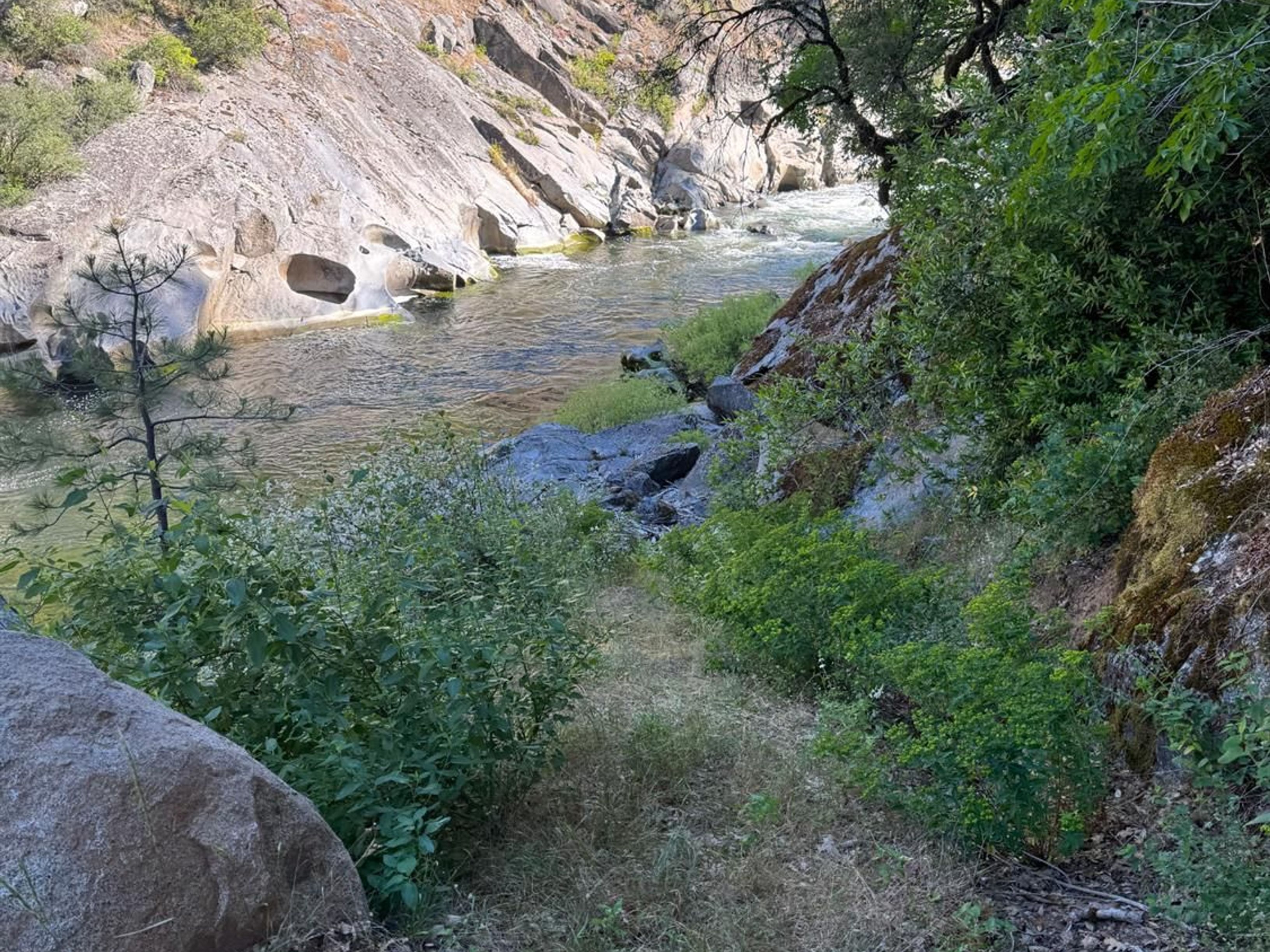  0 Old Country Road, West Point, CA 95255 - 物件實景
