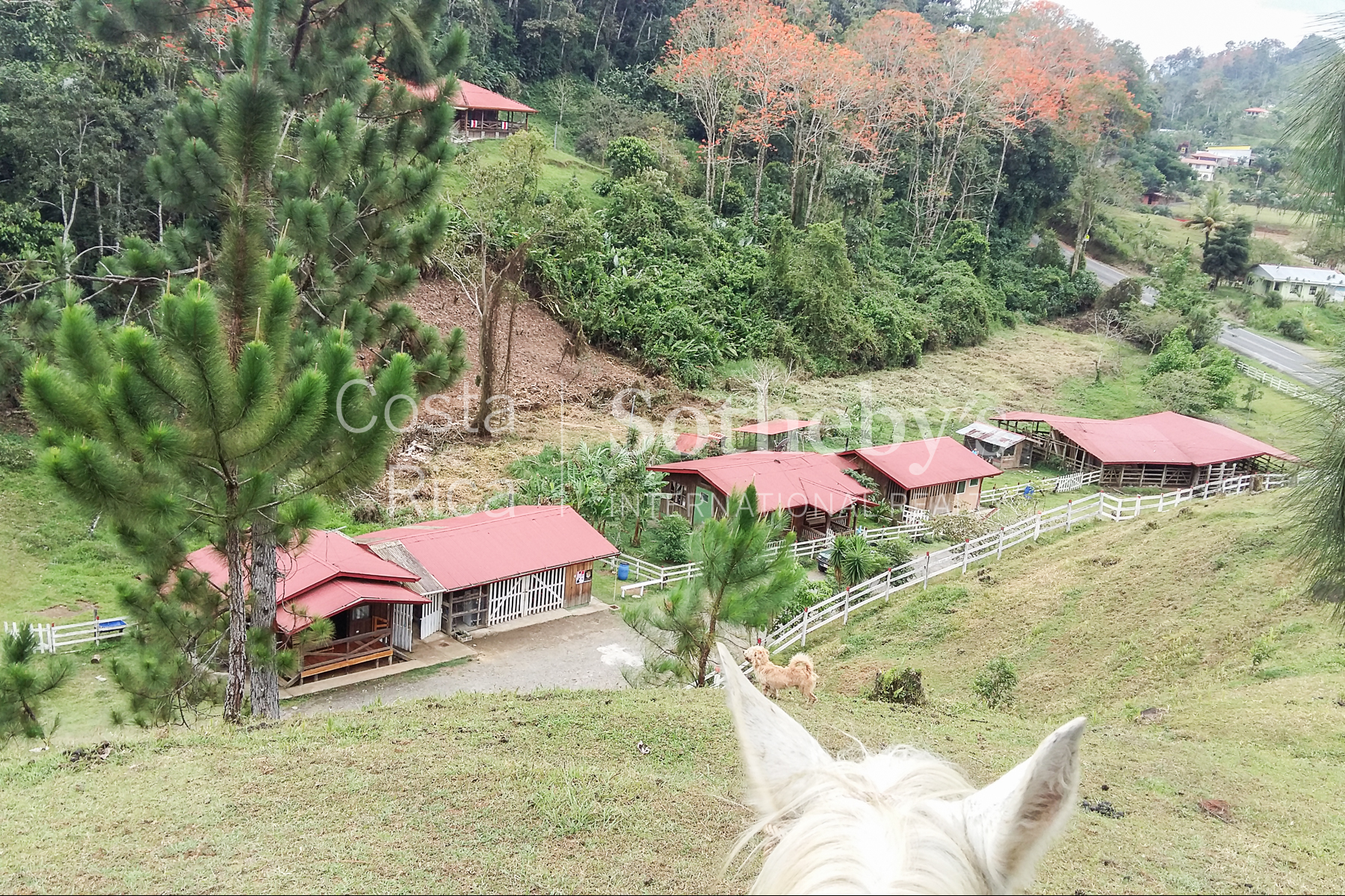  300ha+ Finca Turística Turrialba - 物件實景