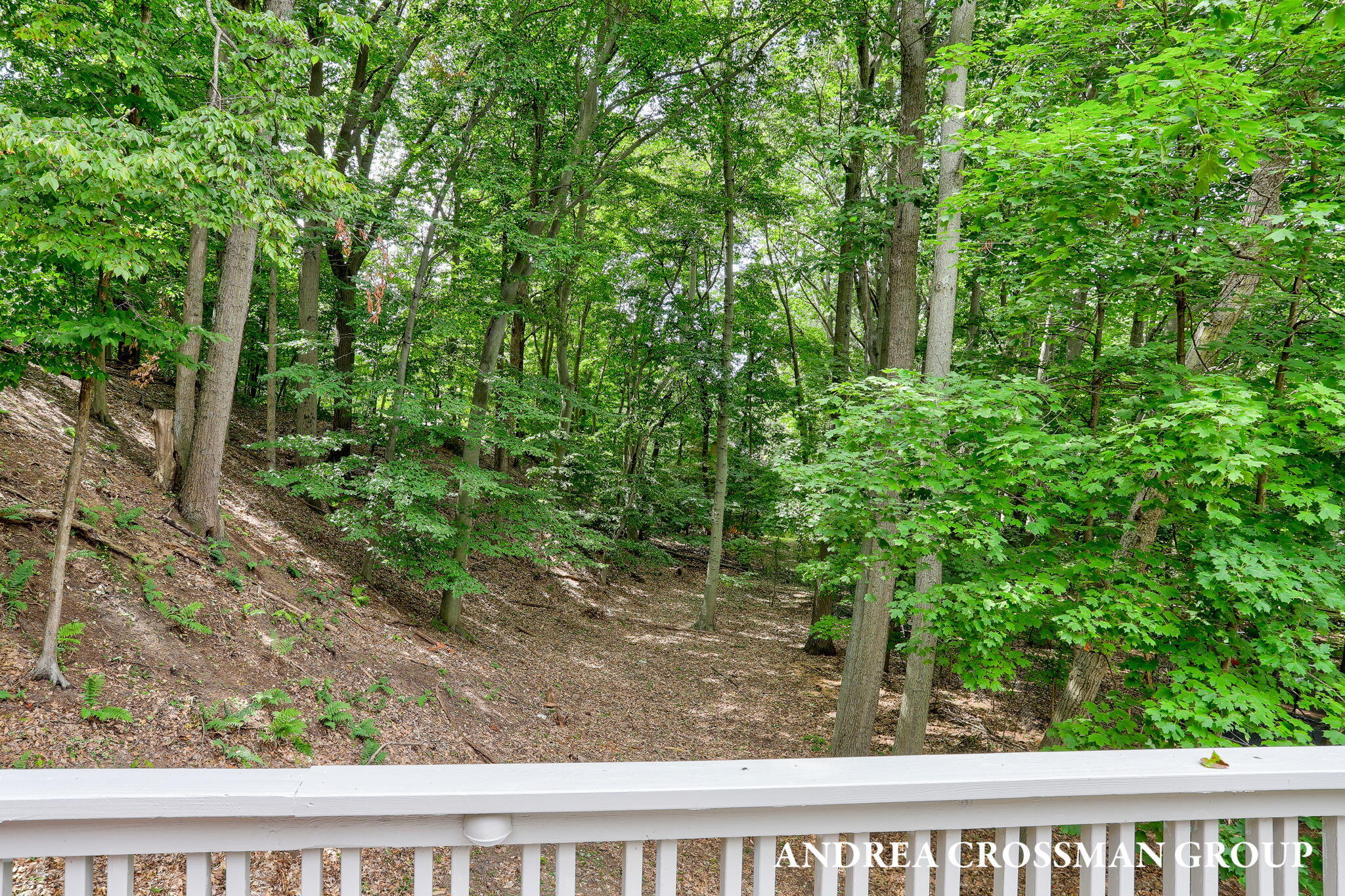 Holland, Michigan, 49424, United States, 5 Bedrooms Bedrooms, ,4 BathroomsBathrooms,Residential,For Sale,1947072