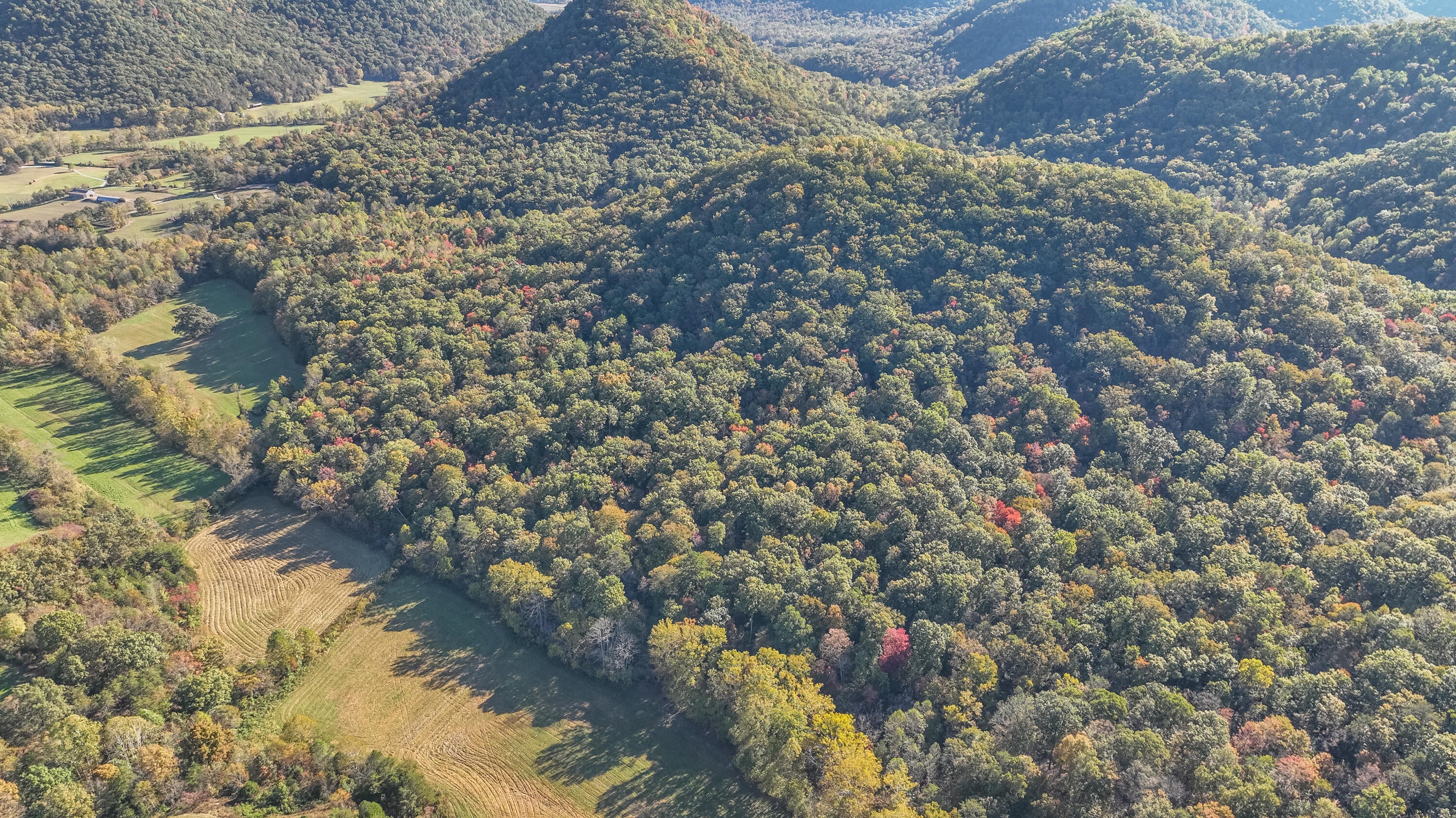 Berea, Kentucky, 40403, United States, 5 Bedrooms Bedrooms, ,3 BathroomsBathrooms,Residential,For Sale,1975265